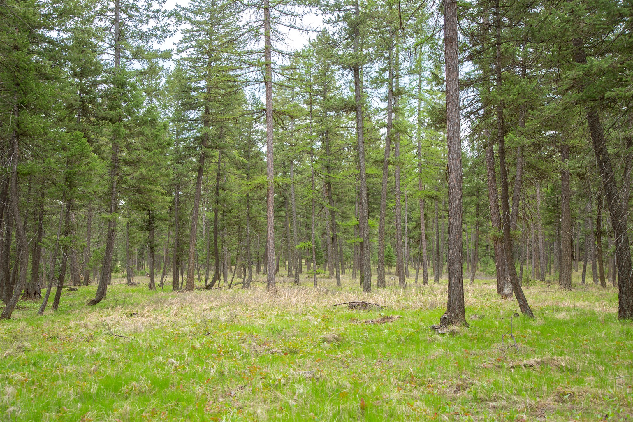 Nhn Bowdish Road Property Photo 6