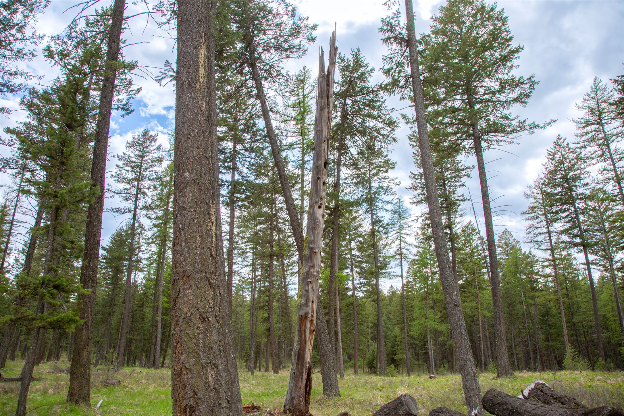 Nhn Bowdish Road Property Photo 7