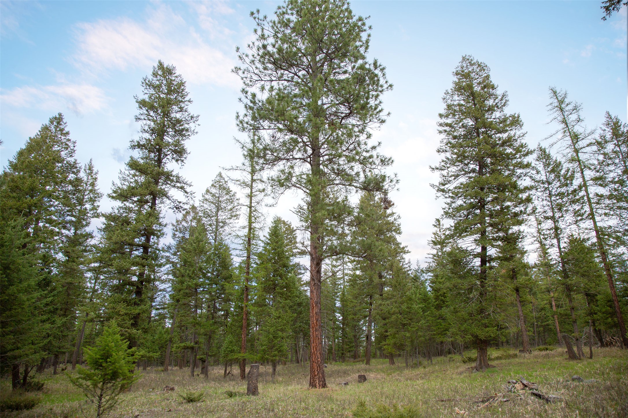 Nhn Bowdish Road Property Photo 8