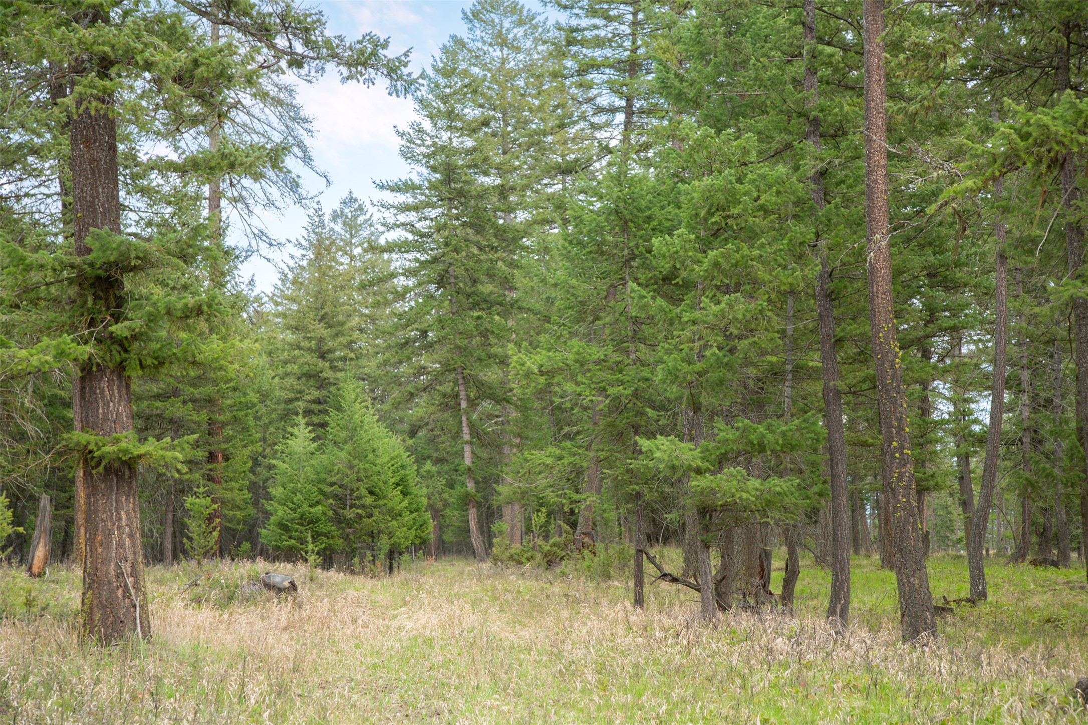 Nhn Bowdish Road Property Photo 9