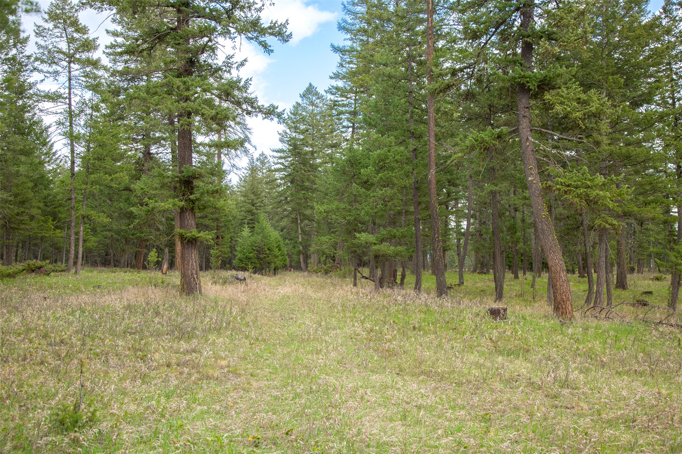 Nhn Bowdish Road Property Photo 10