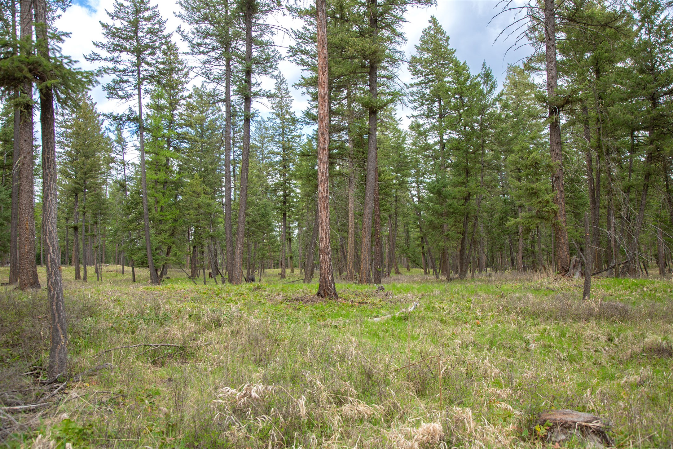 Nhn Bowdish Road Property Photo 11