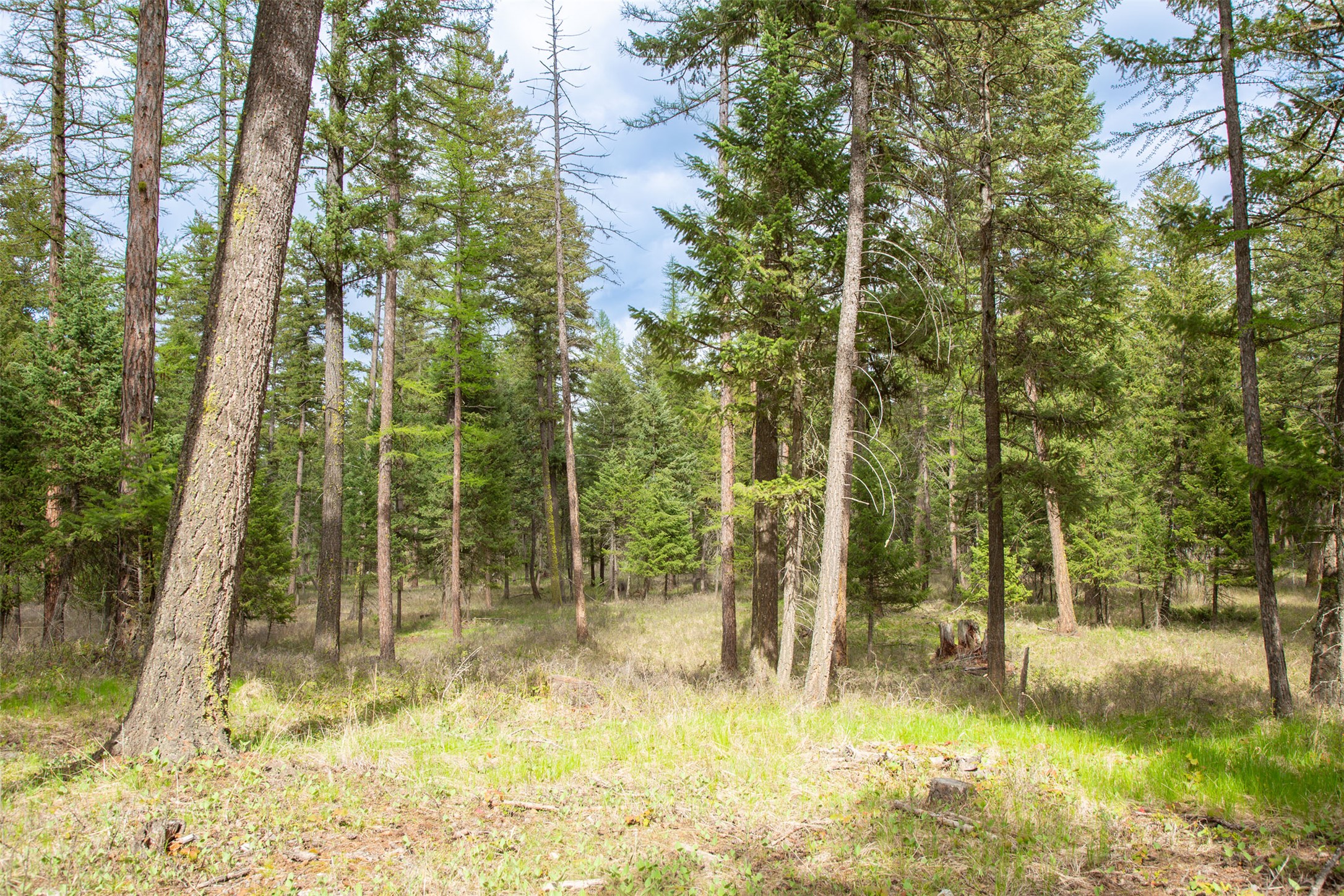 Nhn Bowdish Road Property Photo 12