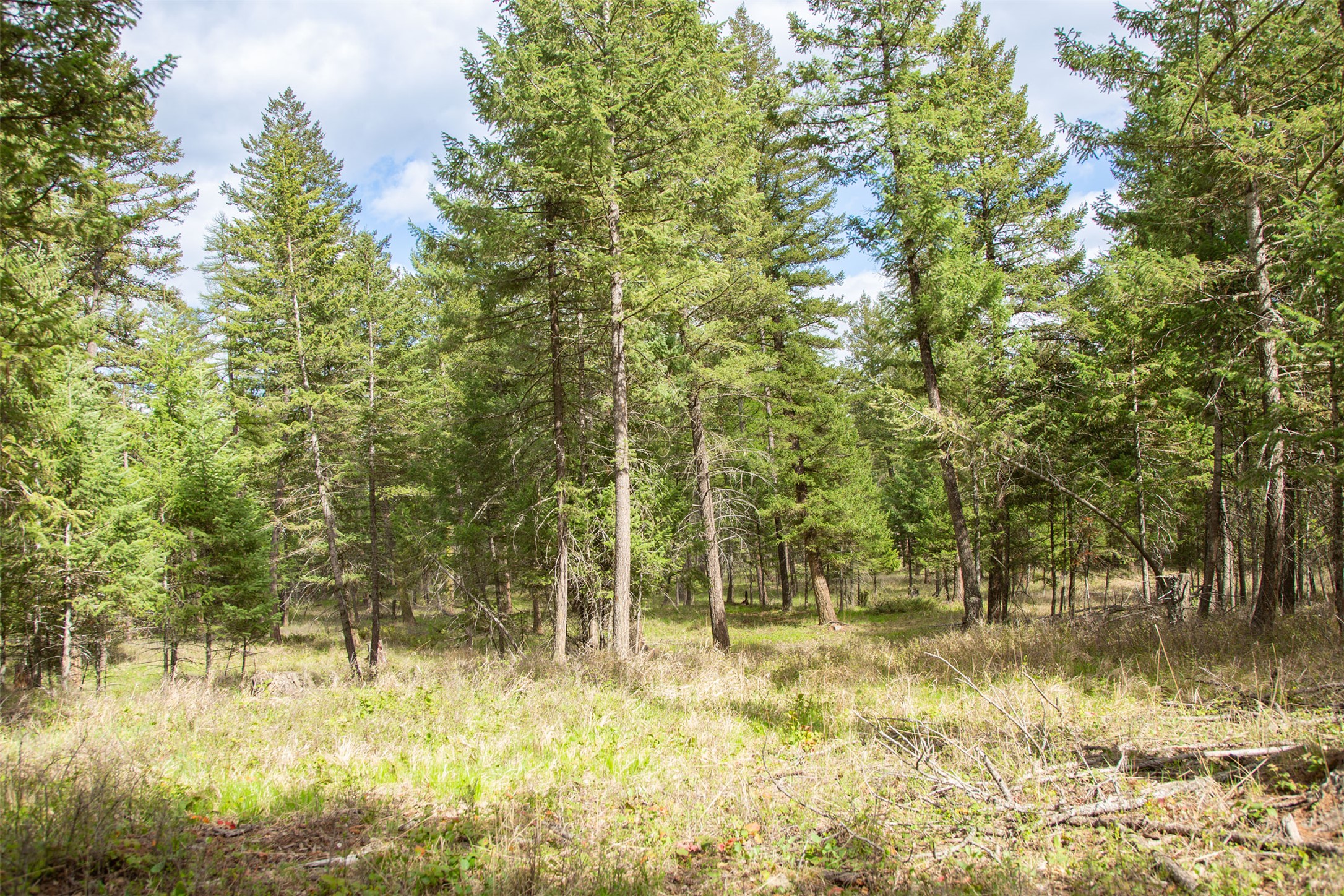 Nhn Bowdish Road Property Photo 13