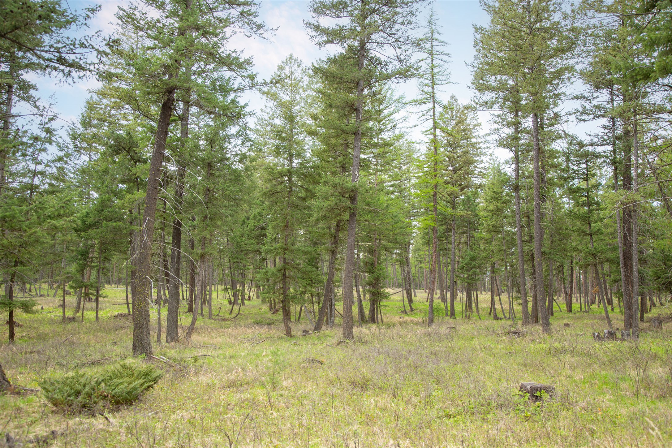 Nhn Bowdish Road Property Photo 14