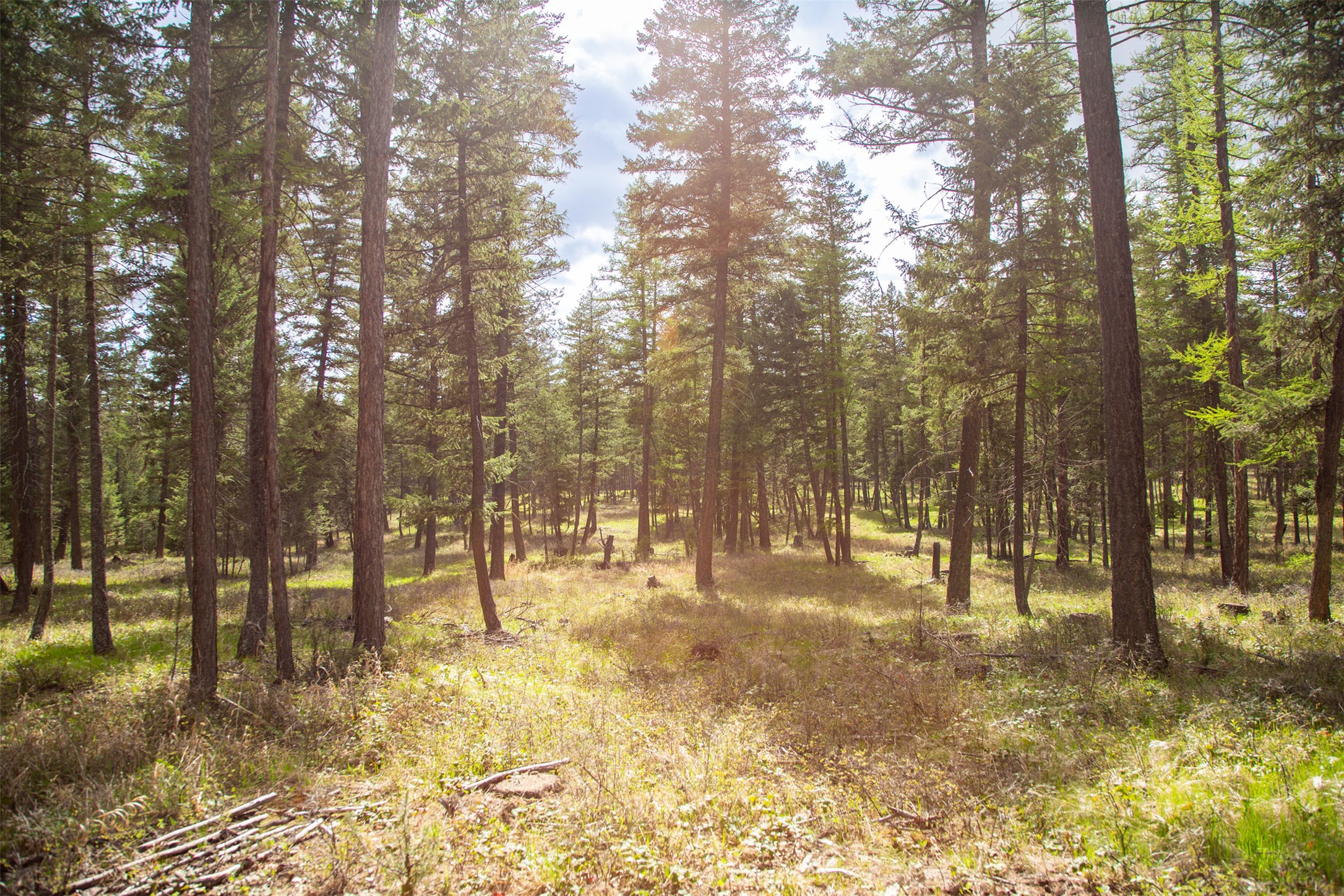 Nhn Bowdish Road Property Photo 15