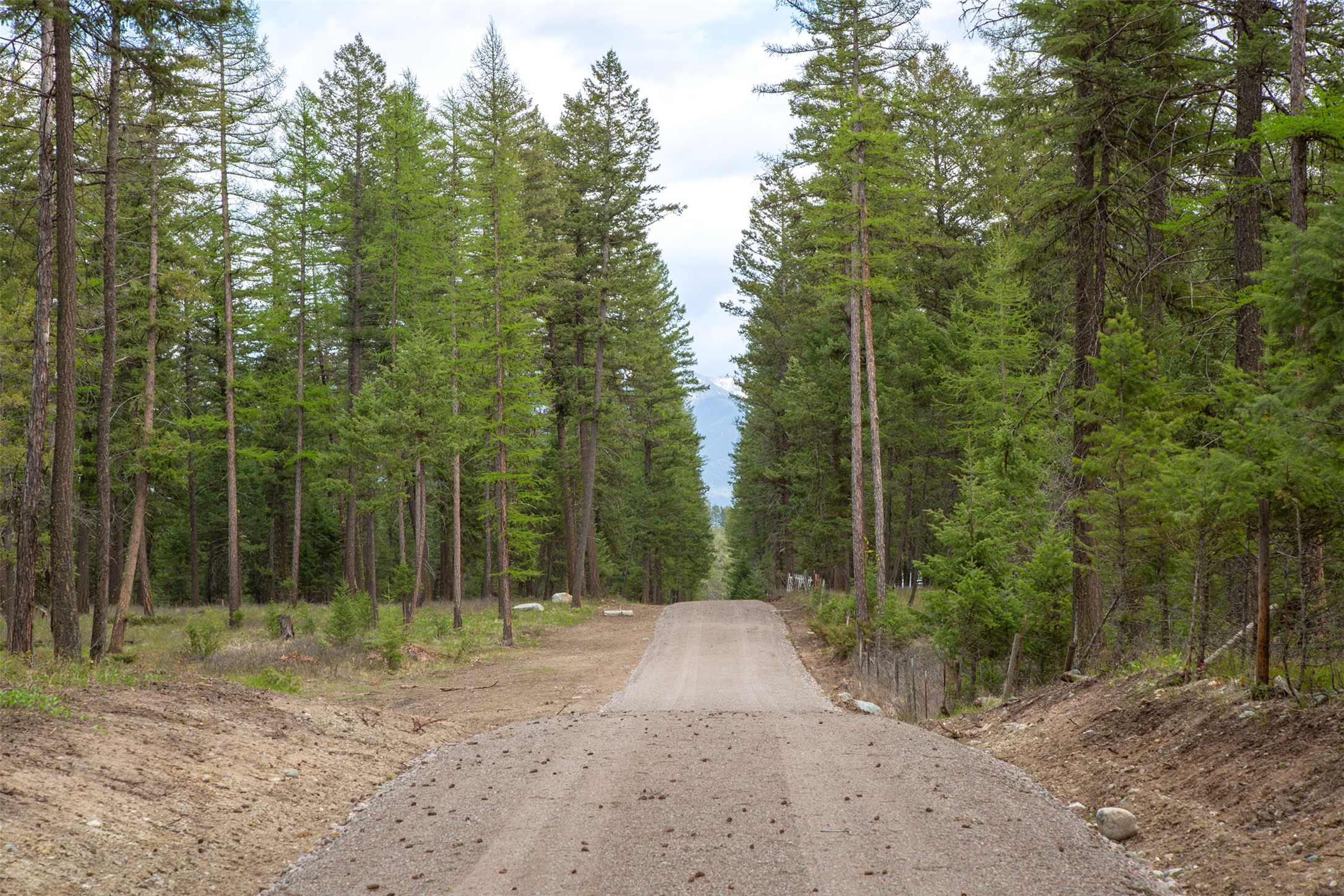 Nhn Bowdish Road Property Photo 18