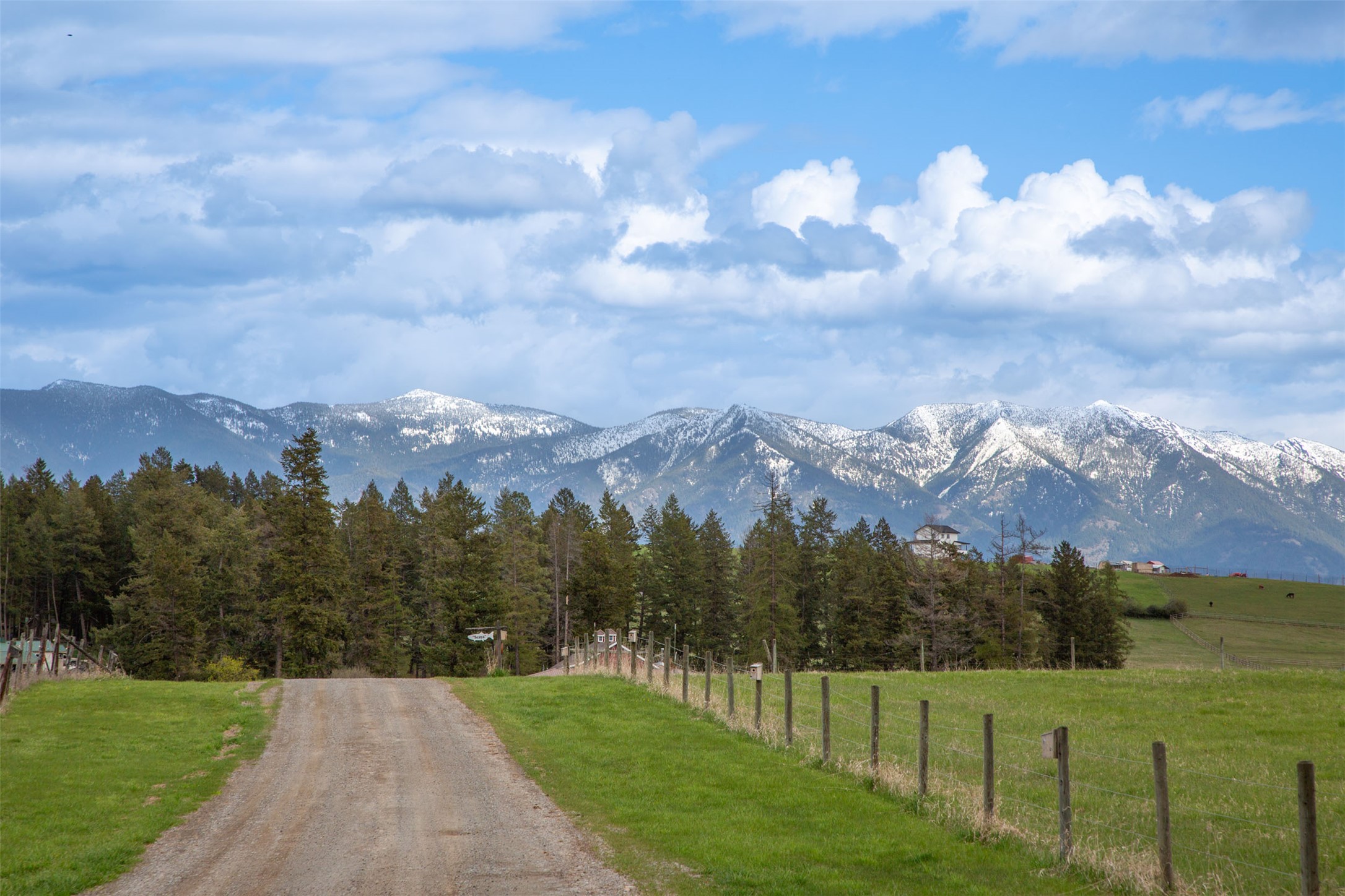 Nhn Bowdish Road Property Photo 20