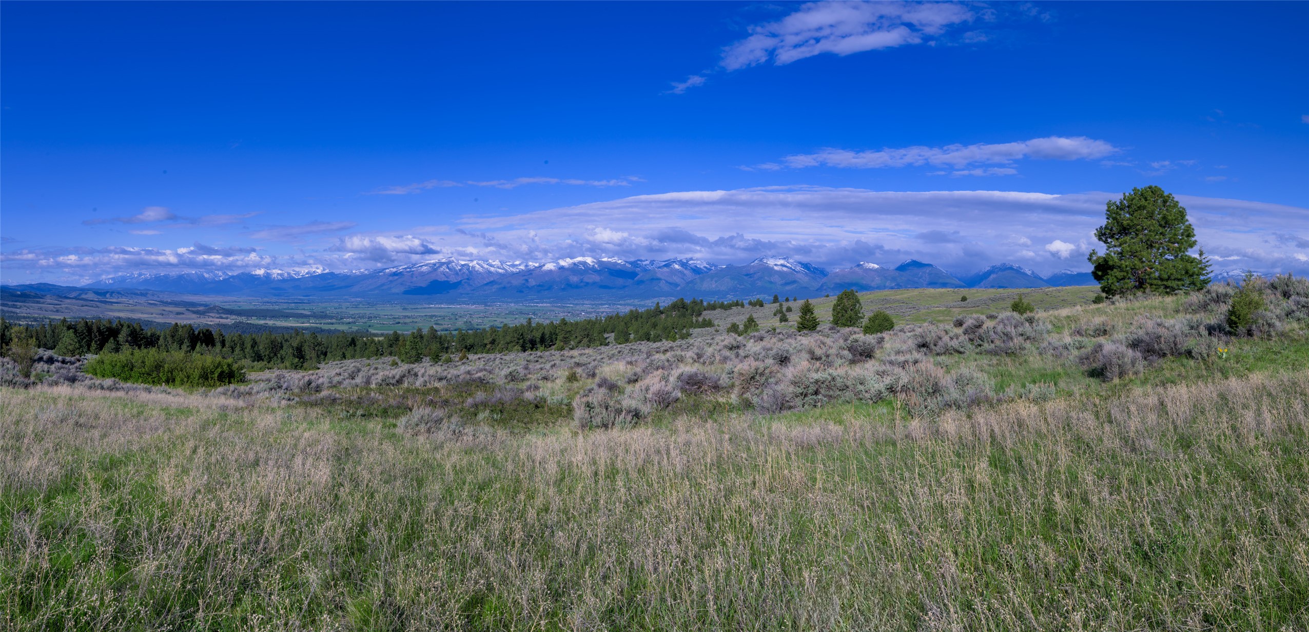 Lot D Soft Rock Road Property Photo 1