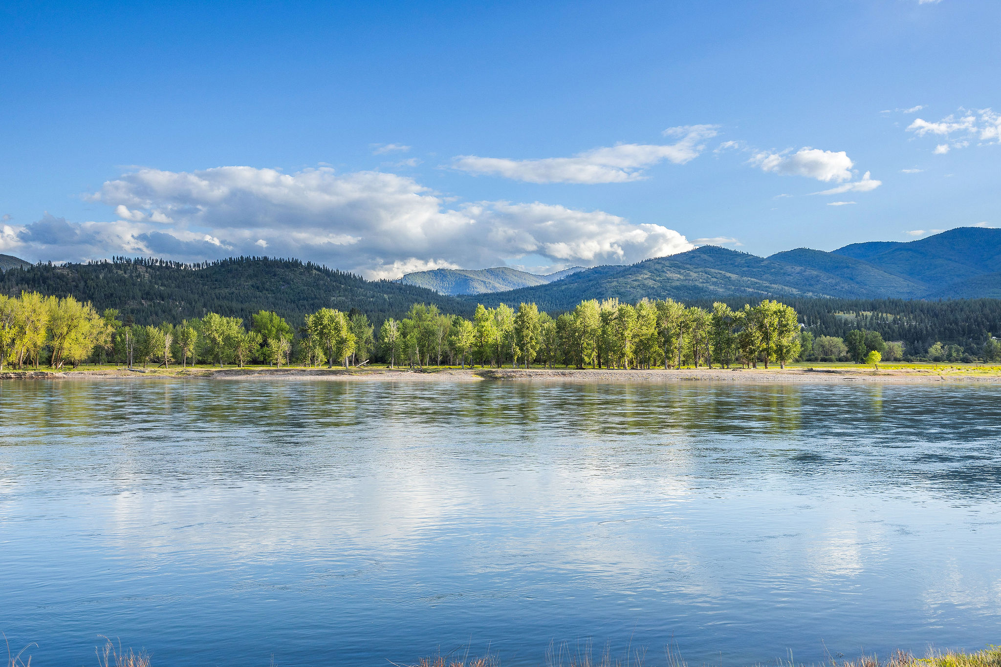 17 River Runs Court Property Photo 20