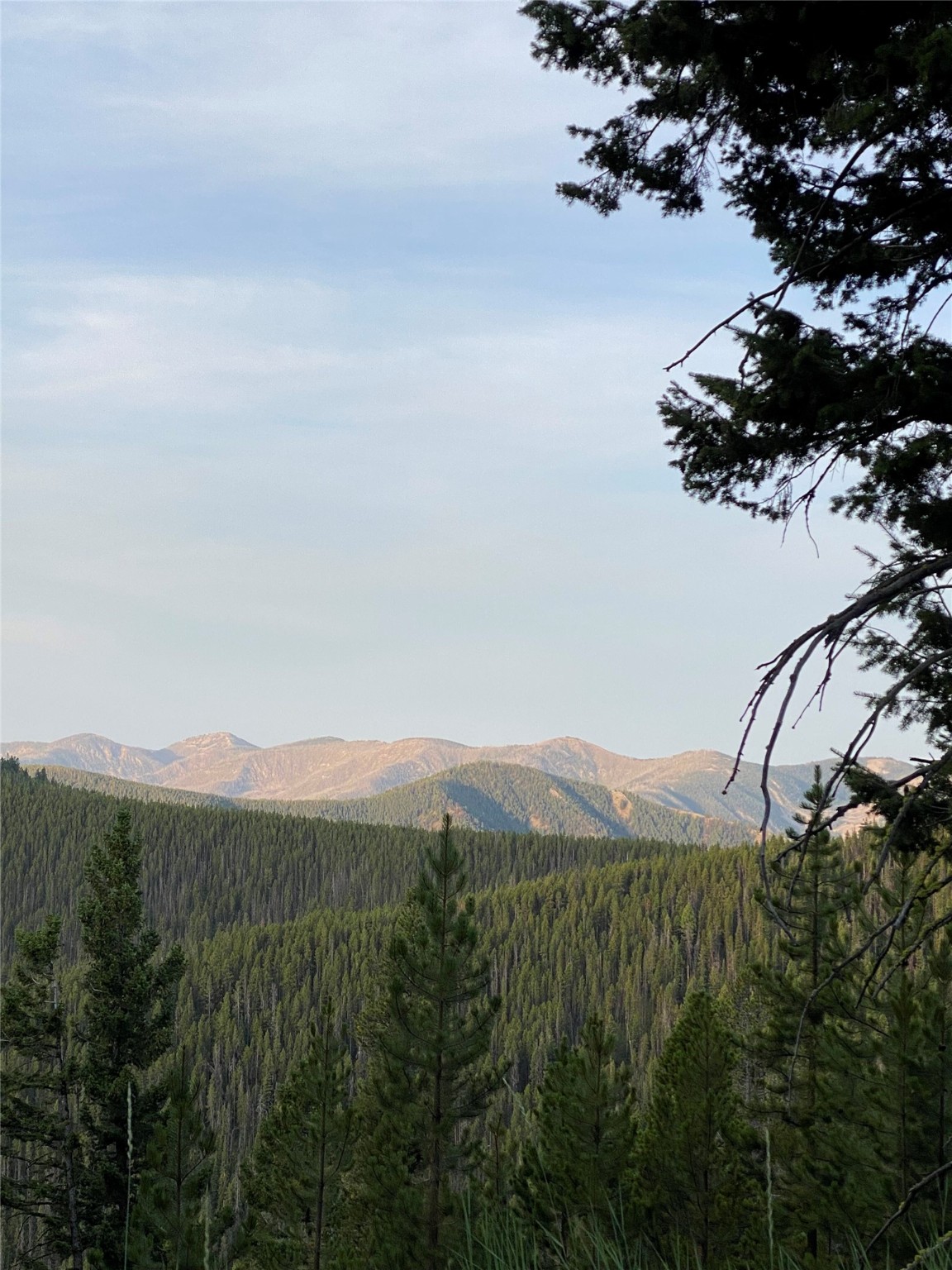 Nhn Argo Mine Road Property Photo 1