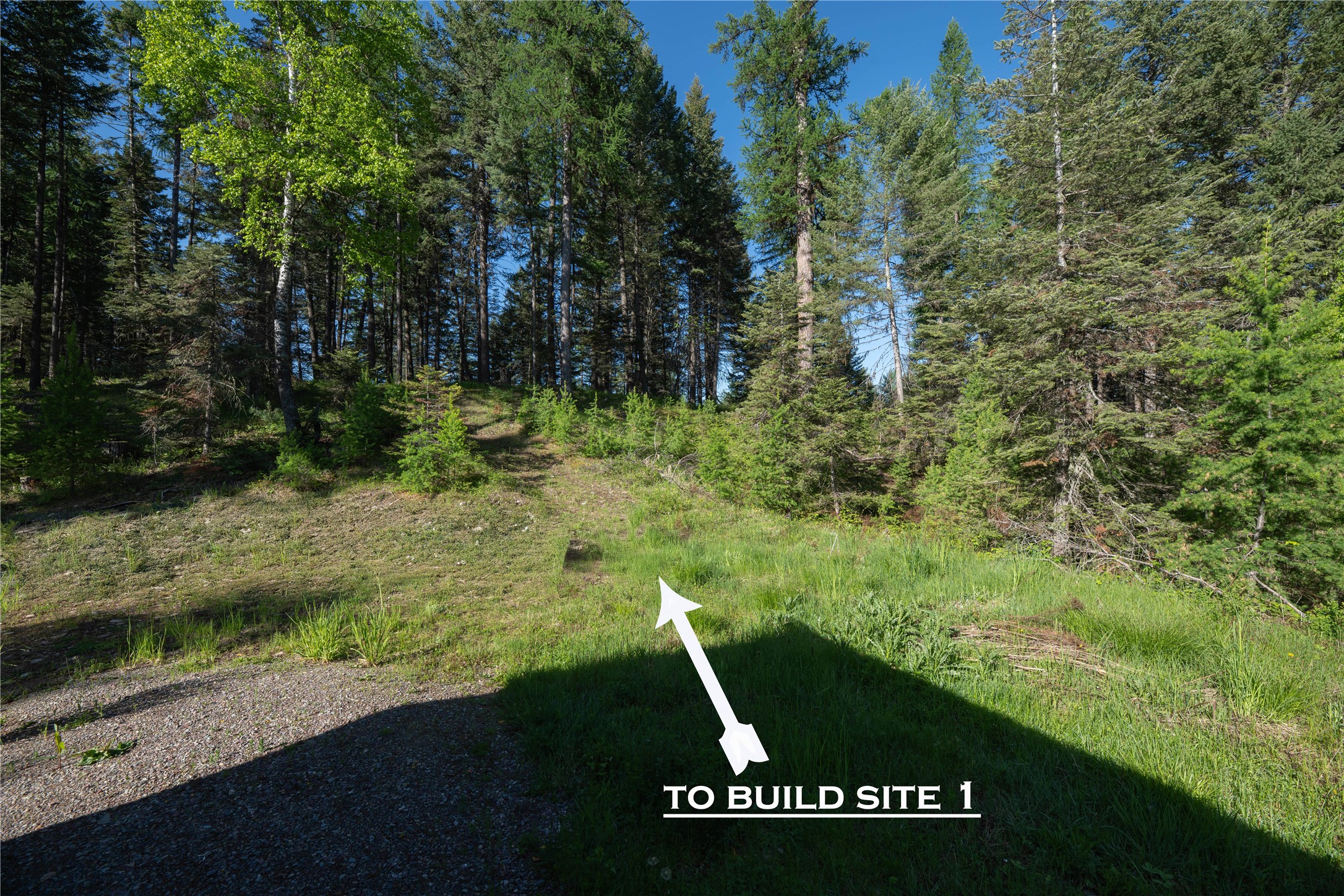 1382 La Brant Road Property Photo 4