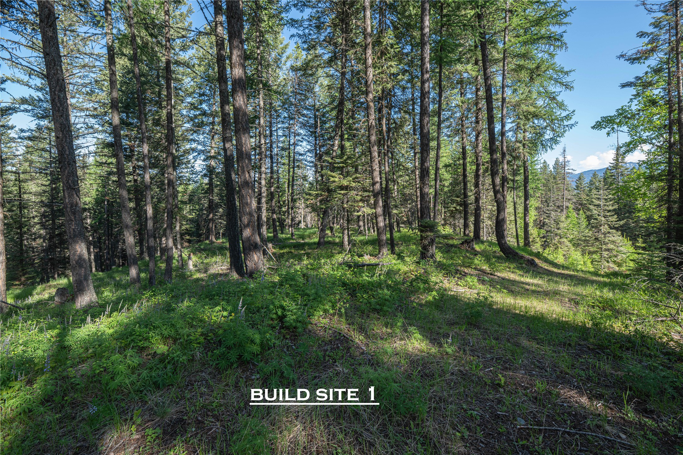 1382 La Brant Road Property Photo 6