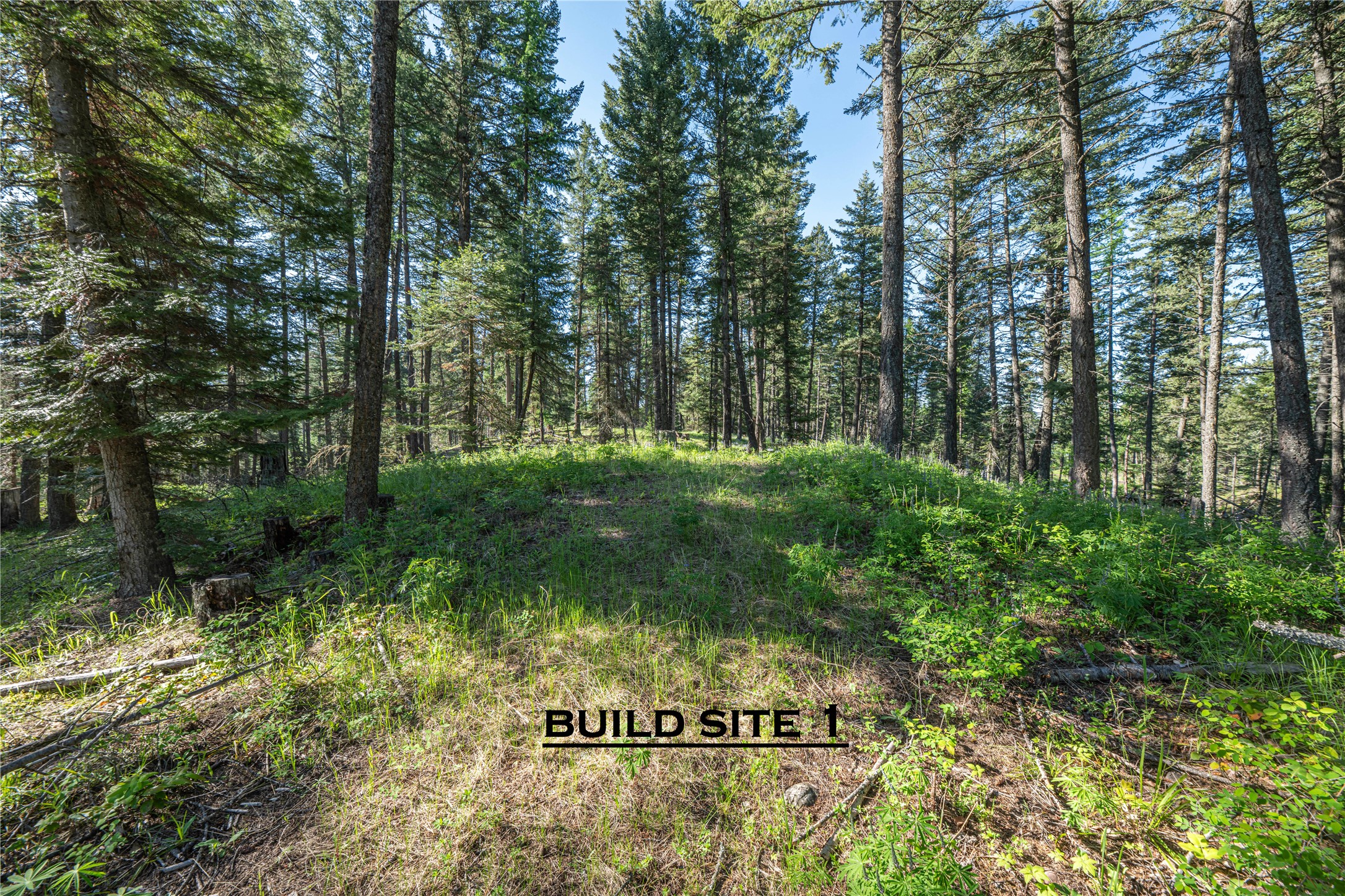 1382 La Brant Road Property Photo 7