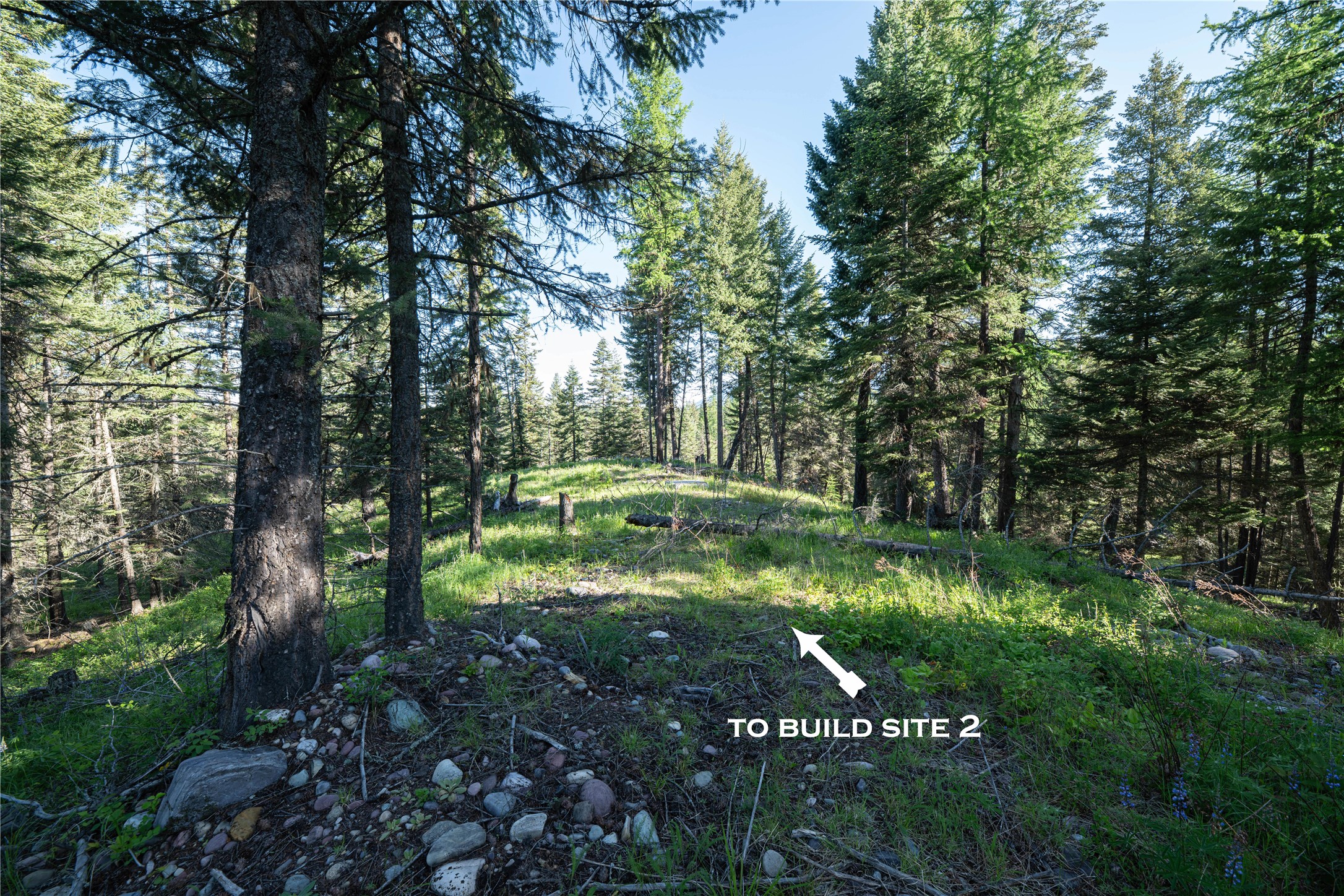 1382 La Brant Road Property Photo 8