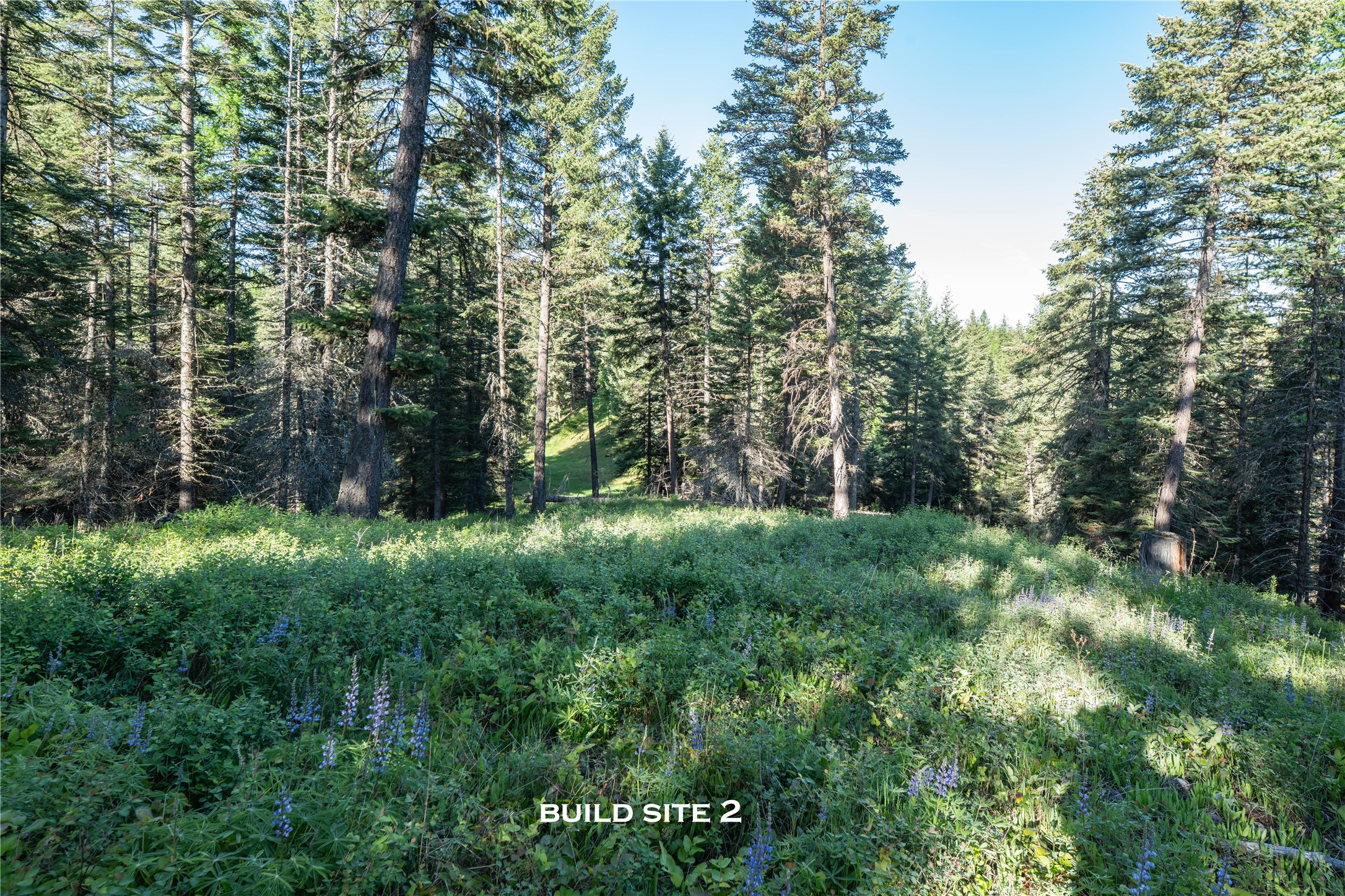 1382 La Brant Road Property Photo 11