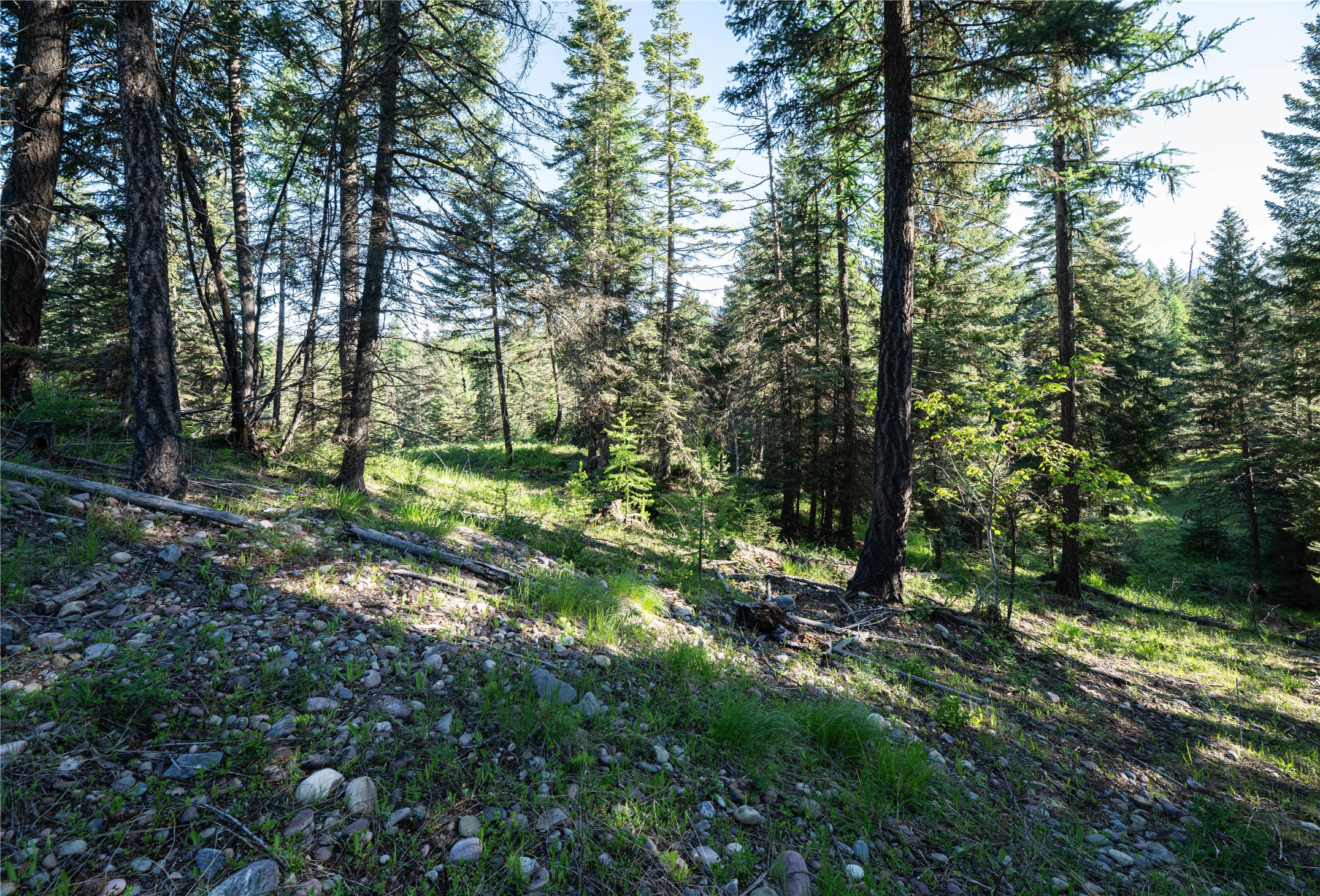 1382 La Brant Road Property Photo 13