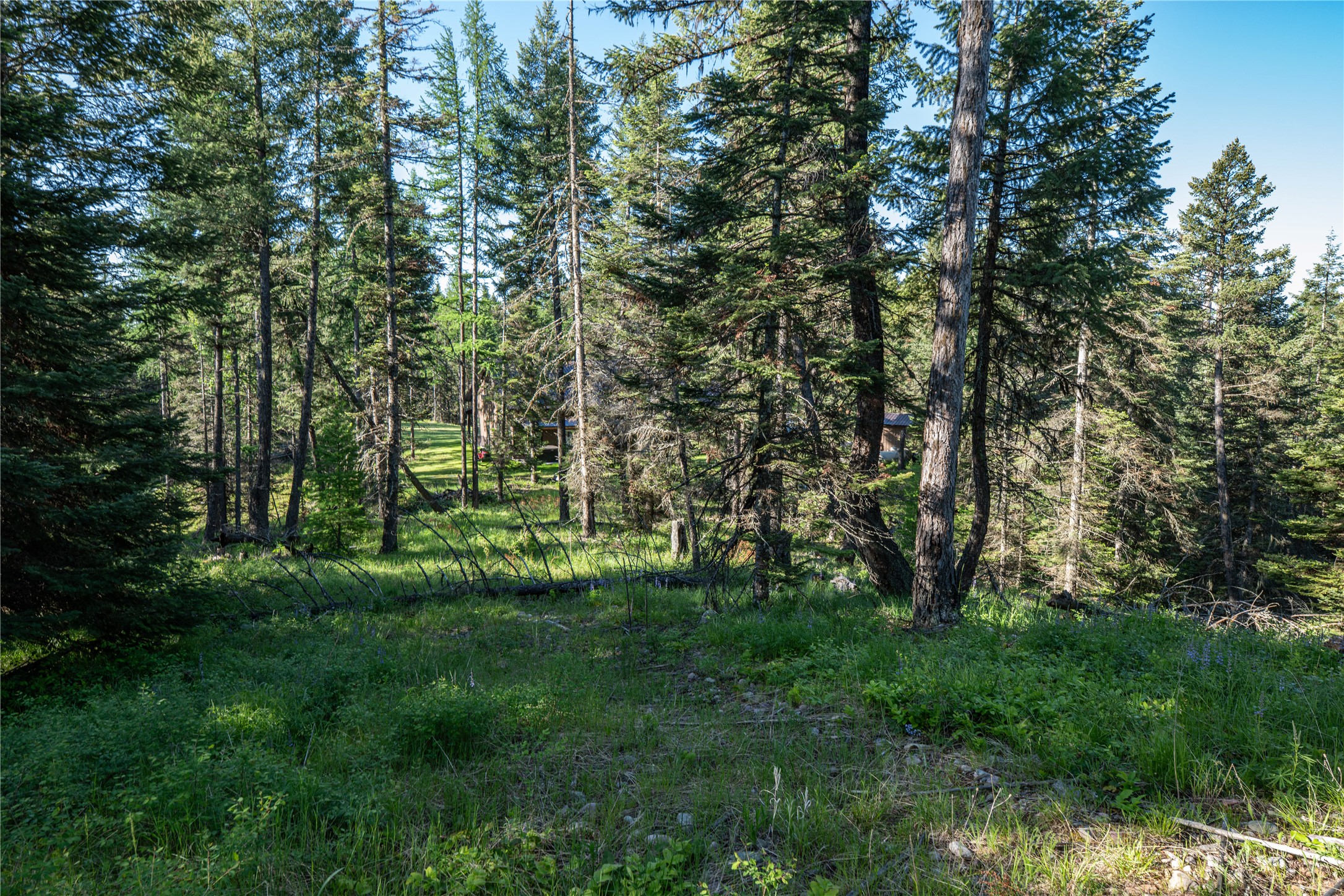 1382 La Brant Road Property Photo 14