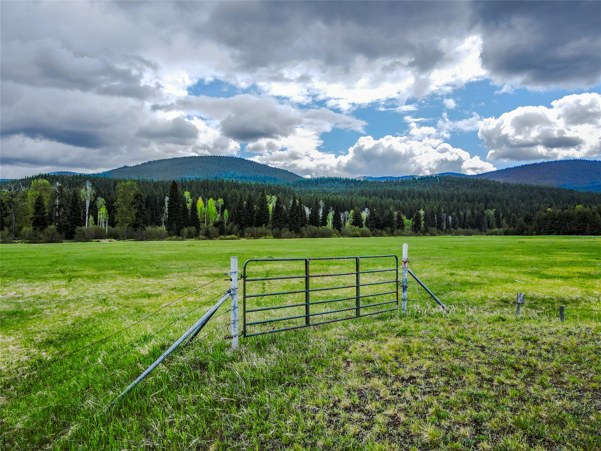 28044 Yaak River Road Property Photo 4