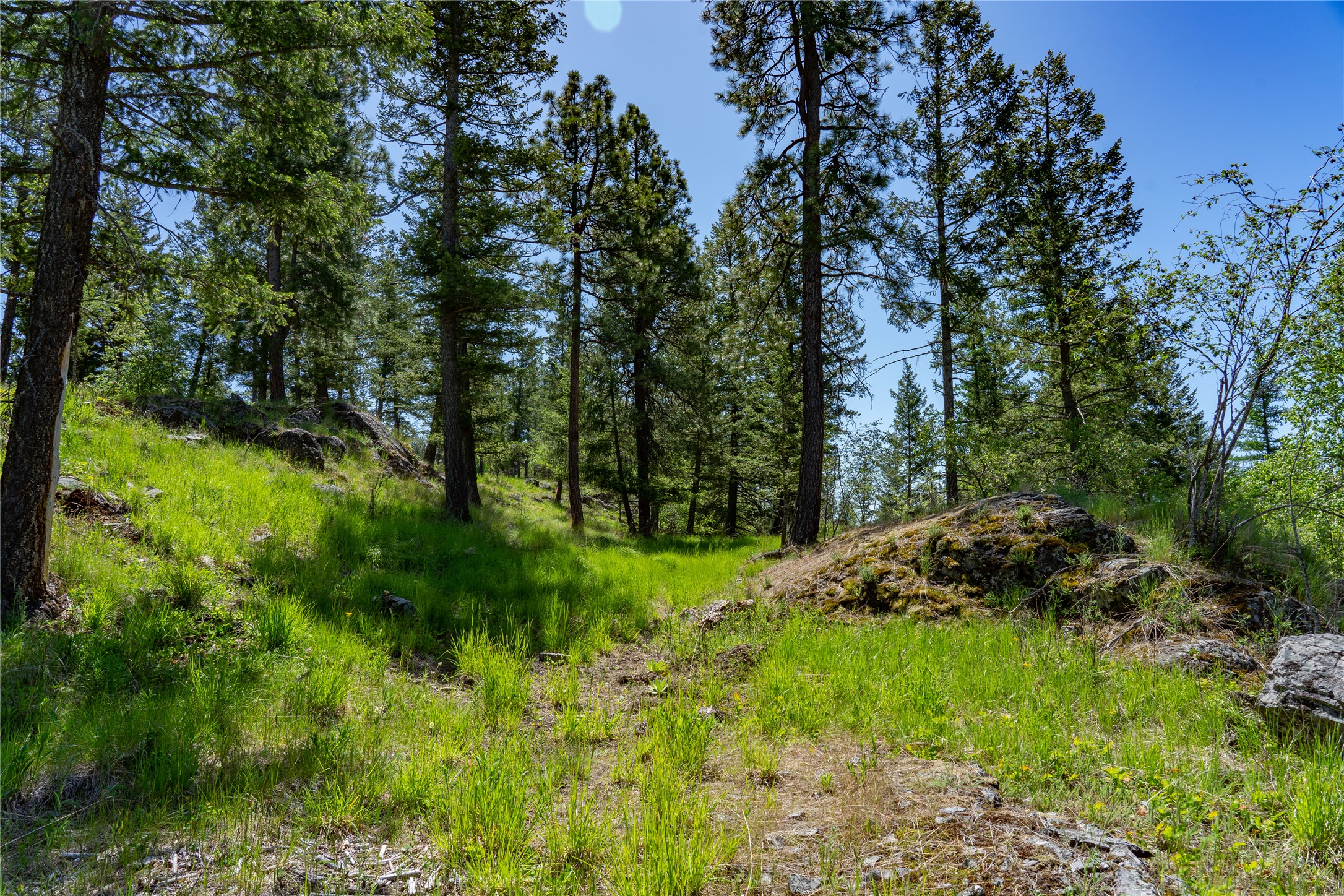 1193 Whispering Rock Road Property Photo 3