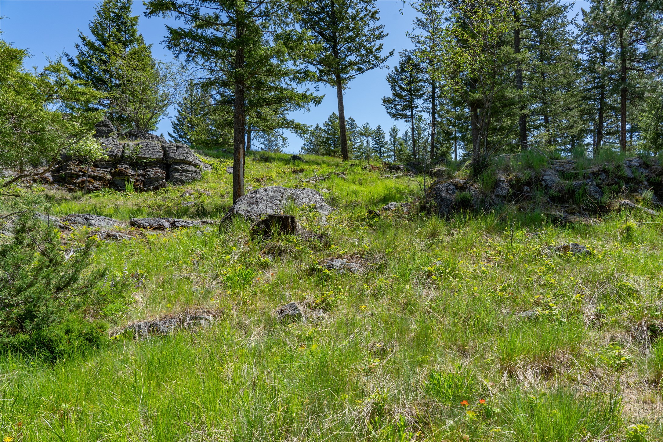 1193 Whispering Rock Road Property Photo 5