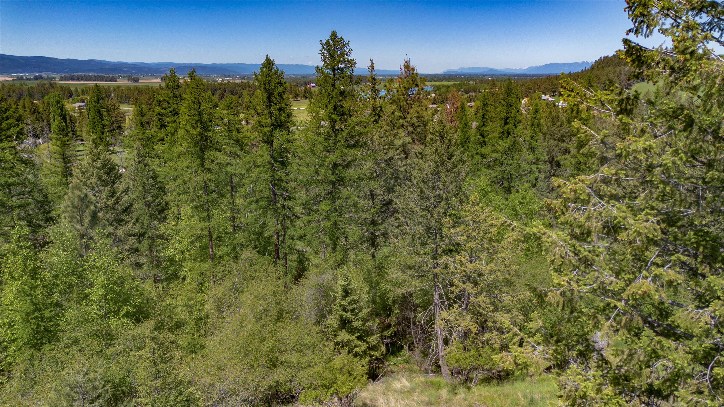 1193 Whispering Rock Road Property Photo 20