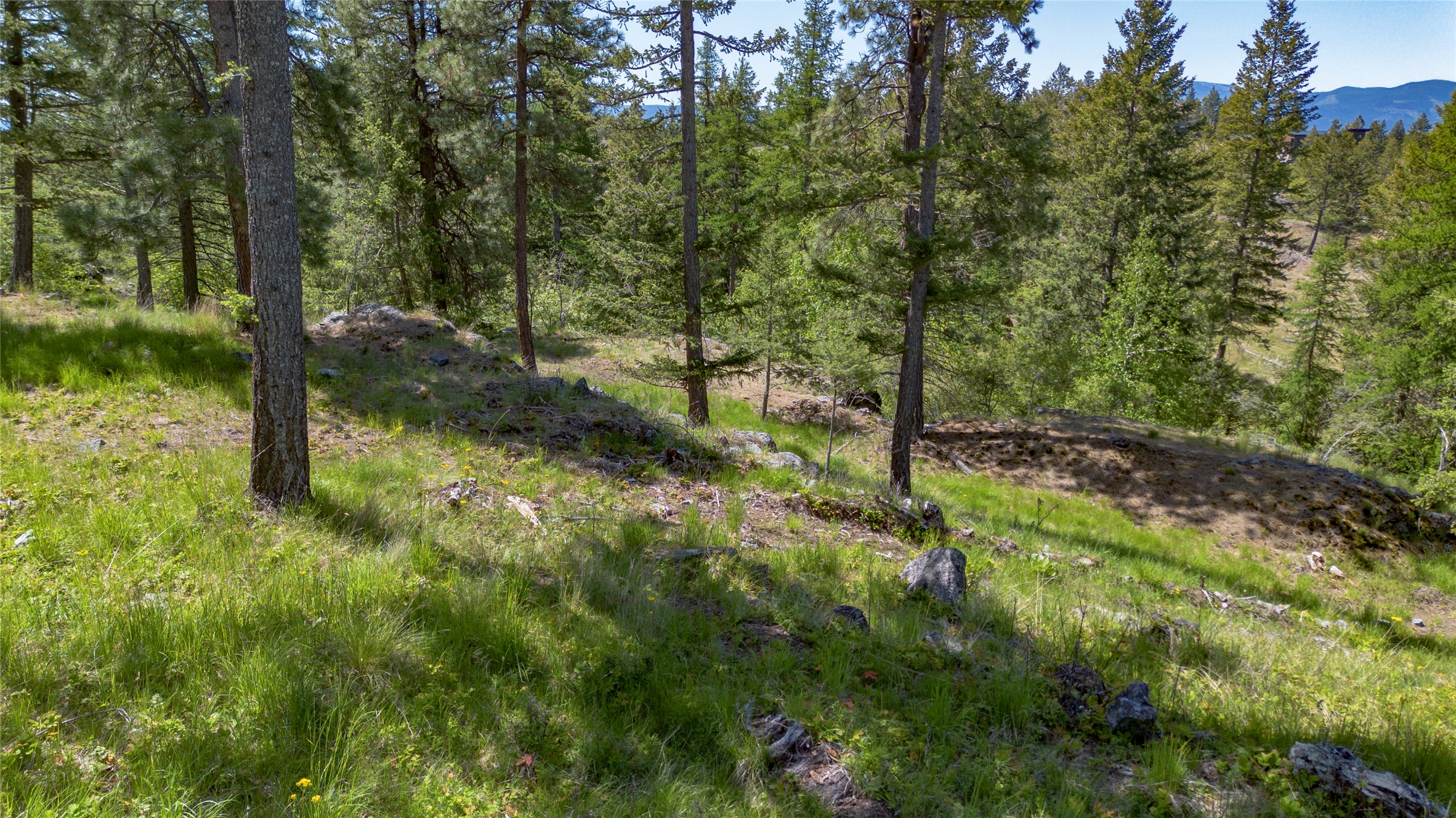 1193 Whispering Rock Road Property Photo 23