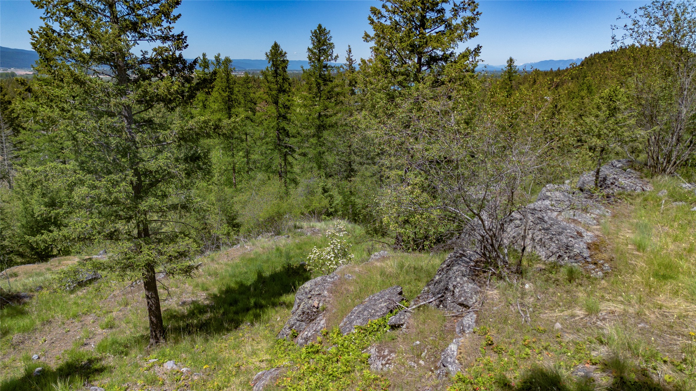1193 Whispering Rock Road Property Photo 24