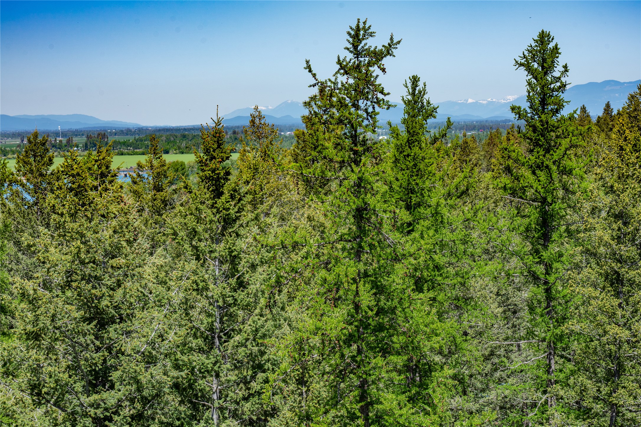 1193 Whispering Rock Road Property Photo 31