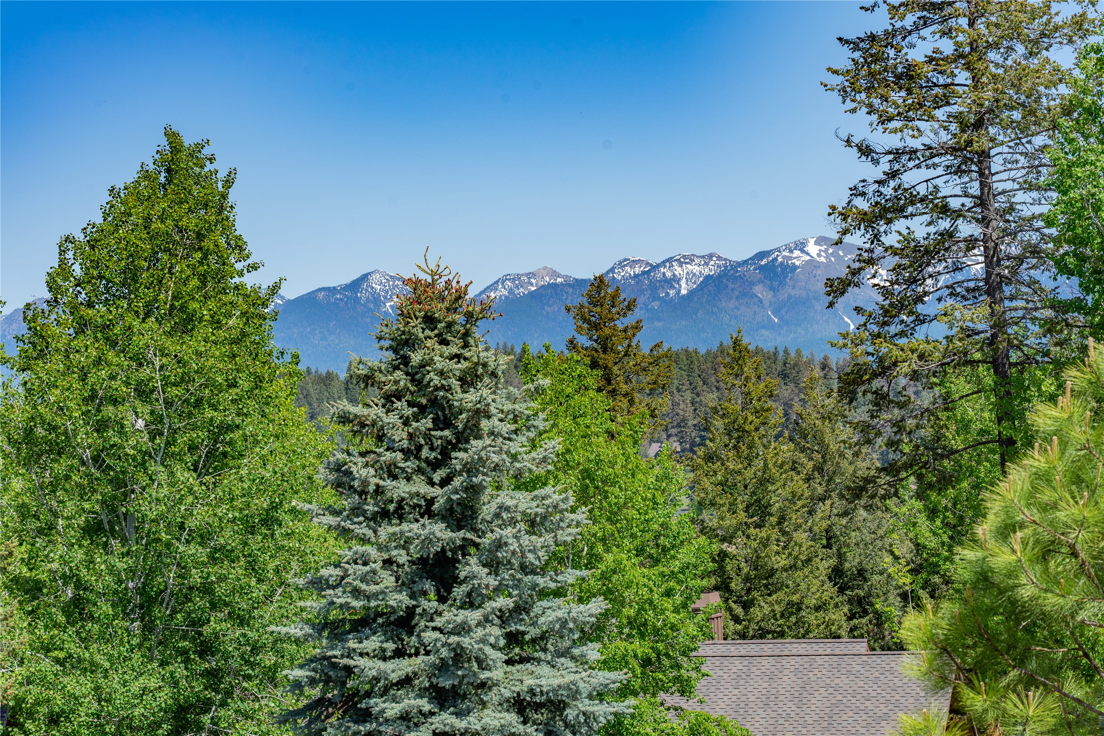 1193 Whispering Rock Road Property Photo 32