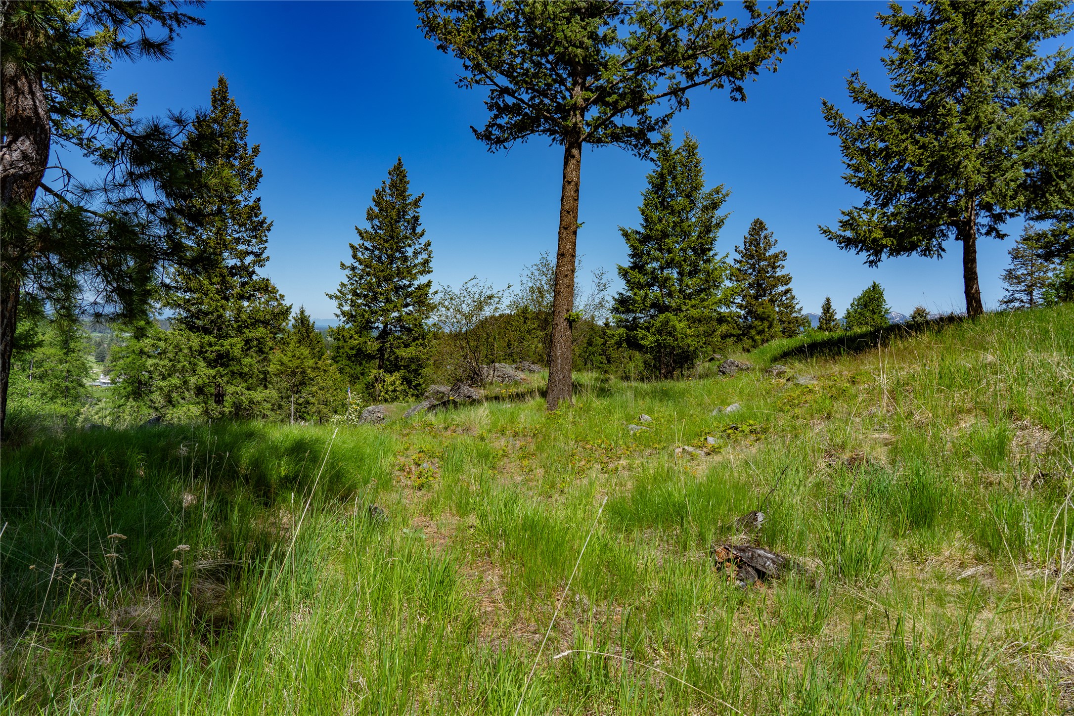 1193 Whispering Rock Road Property Photo 35