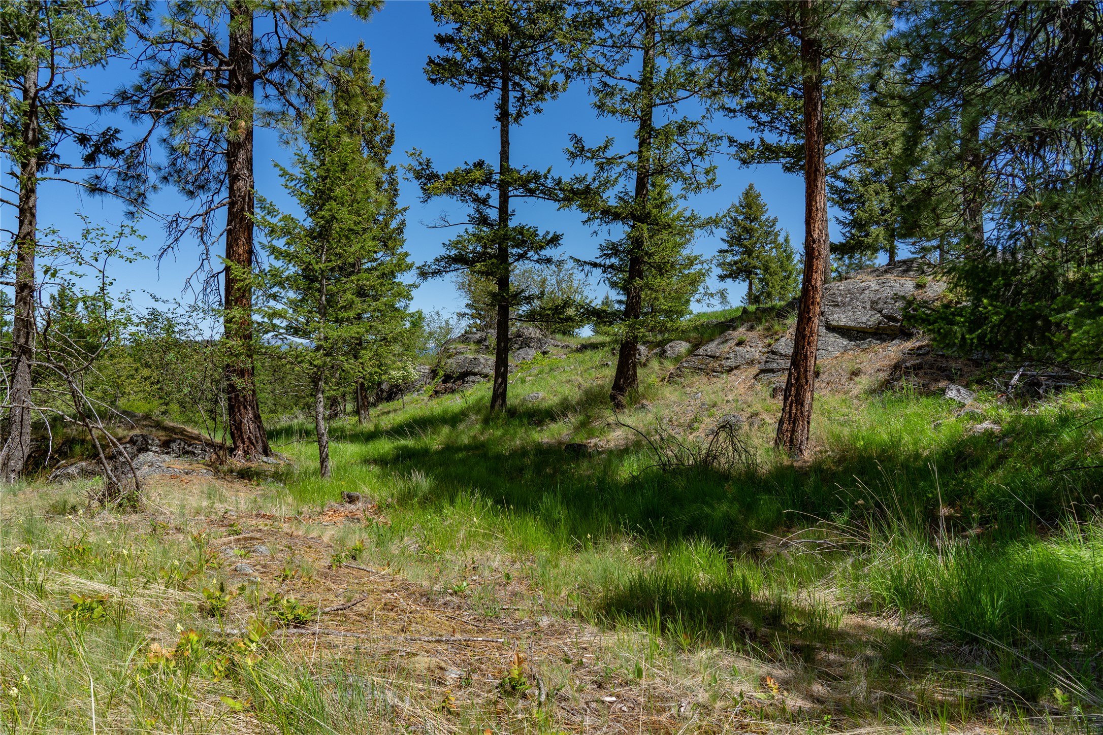 1193 Whispering Rock Road Property Photo 36