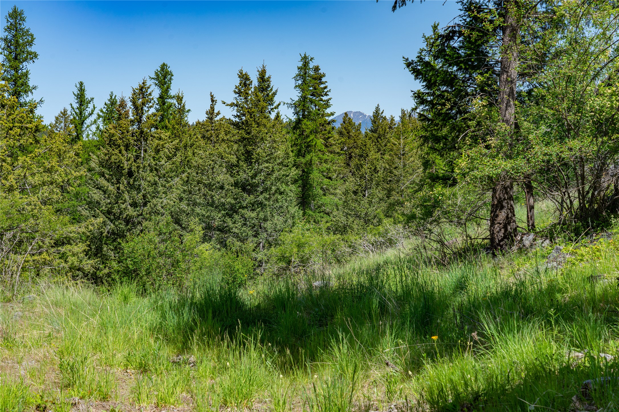 1193 Whispering Rock Road Property Photo 38