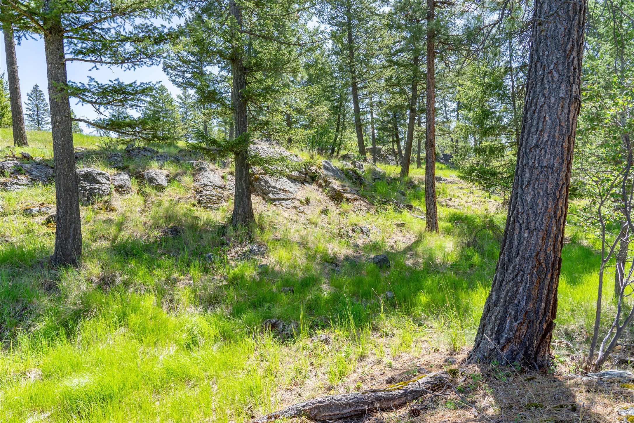 1193 Whispering Rock Road Property Photo 39