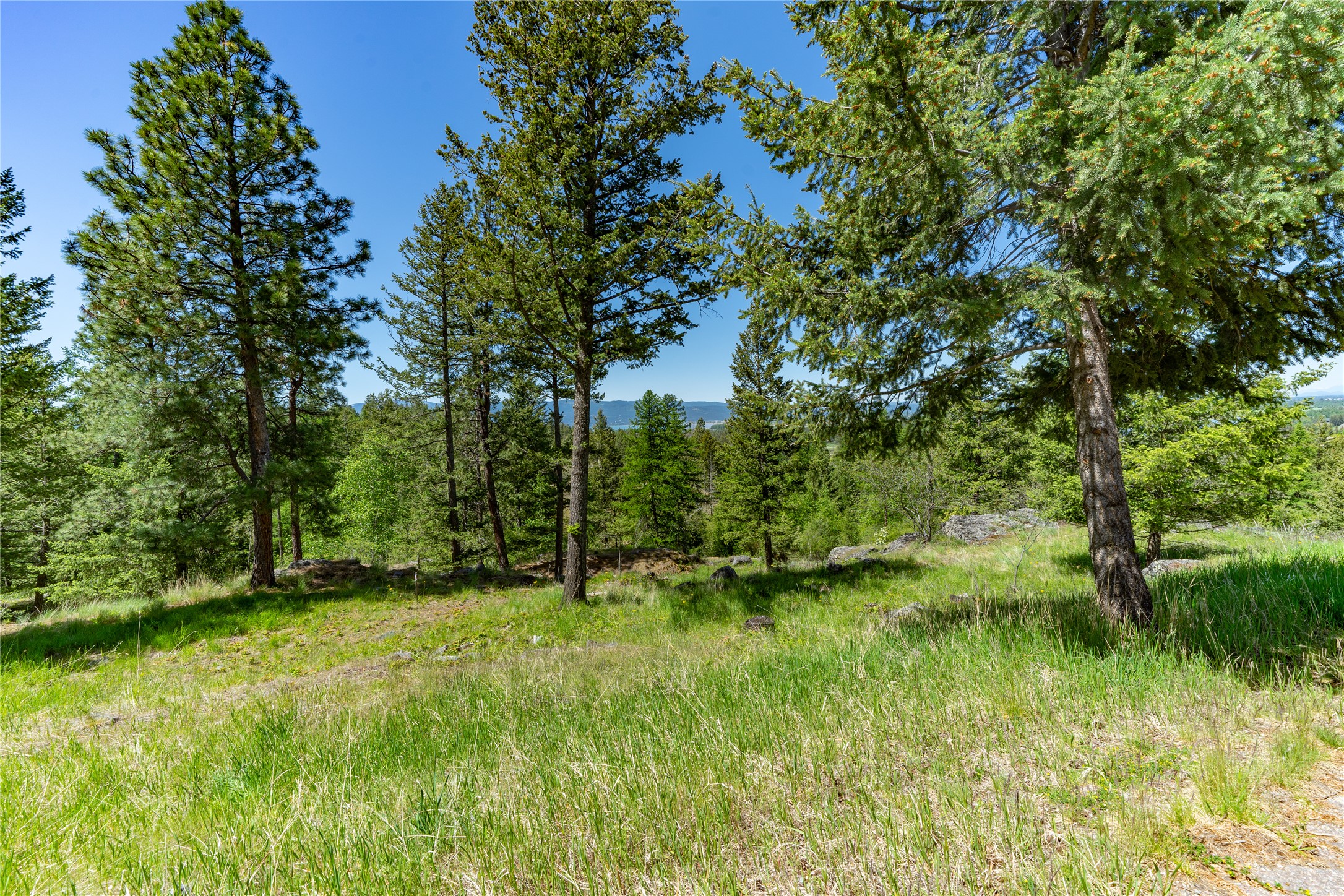 1193 Whispering Rock Road Property Photo 44