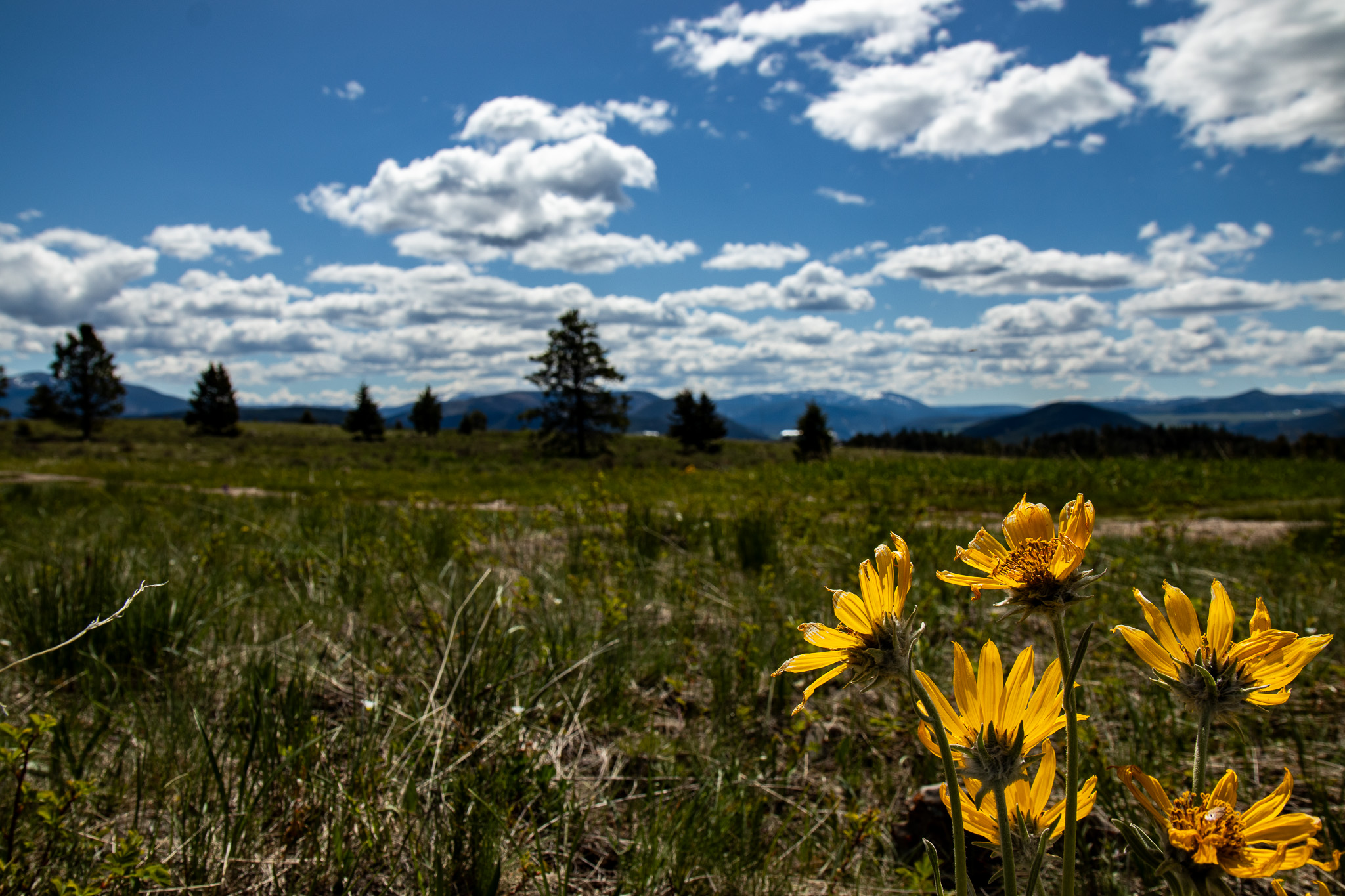 Nhn Big Horn Lane Property Photo 1