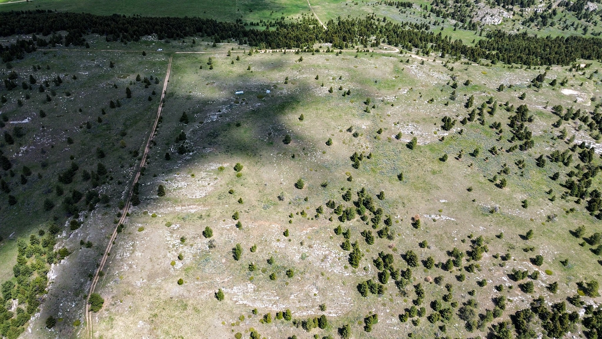 Nhn Big Horn Lane Property Photo 10