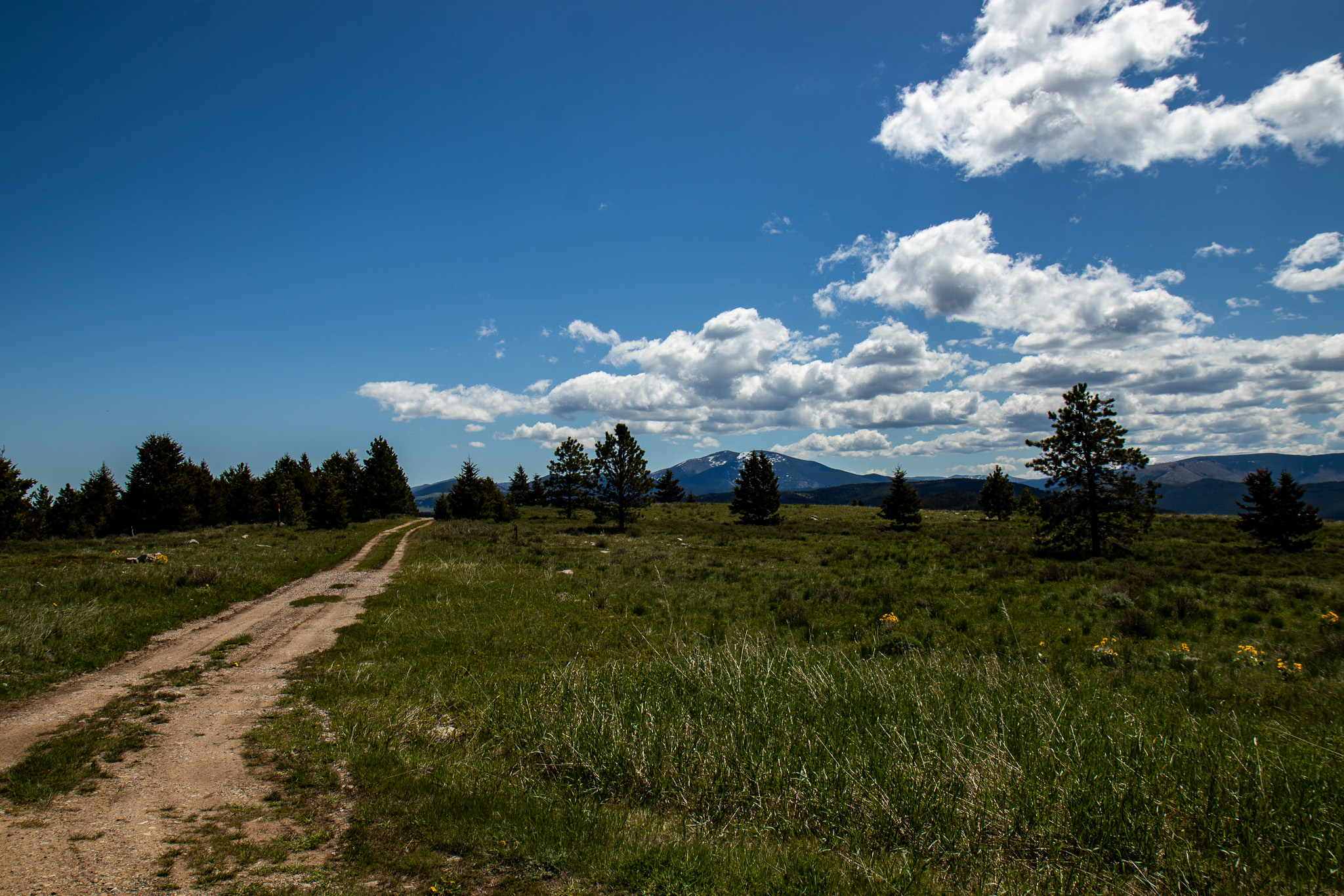 Nhn Big Horn Lane Property Photo 14