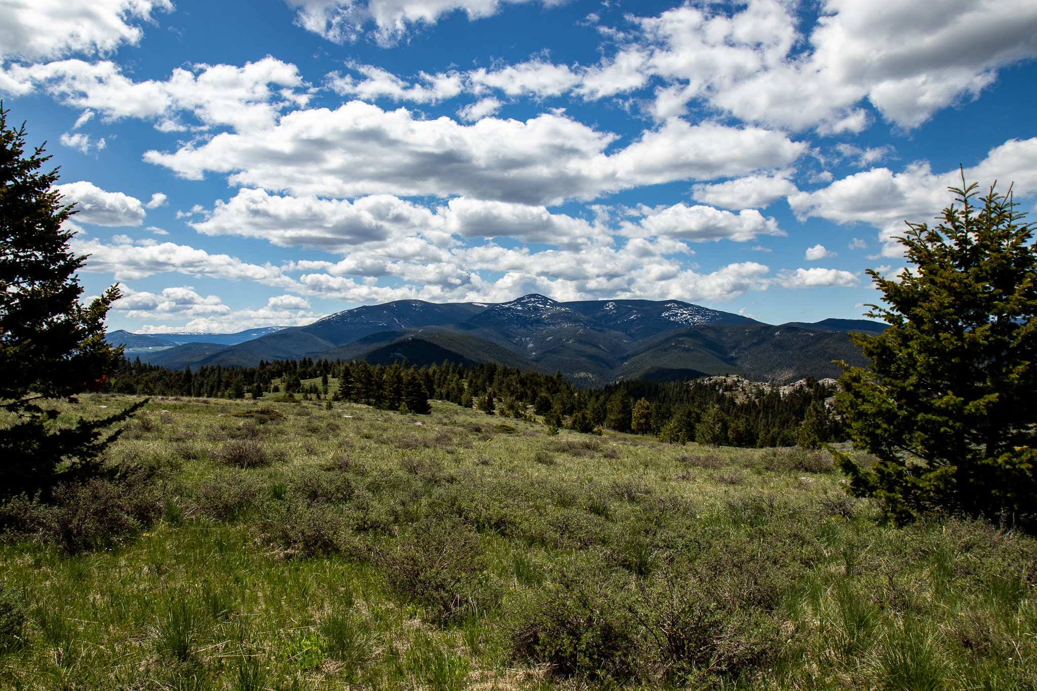 Nhn Big Horn Lane Property Photo 16
