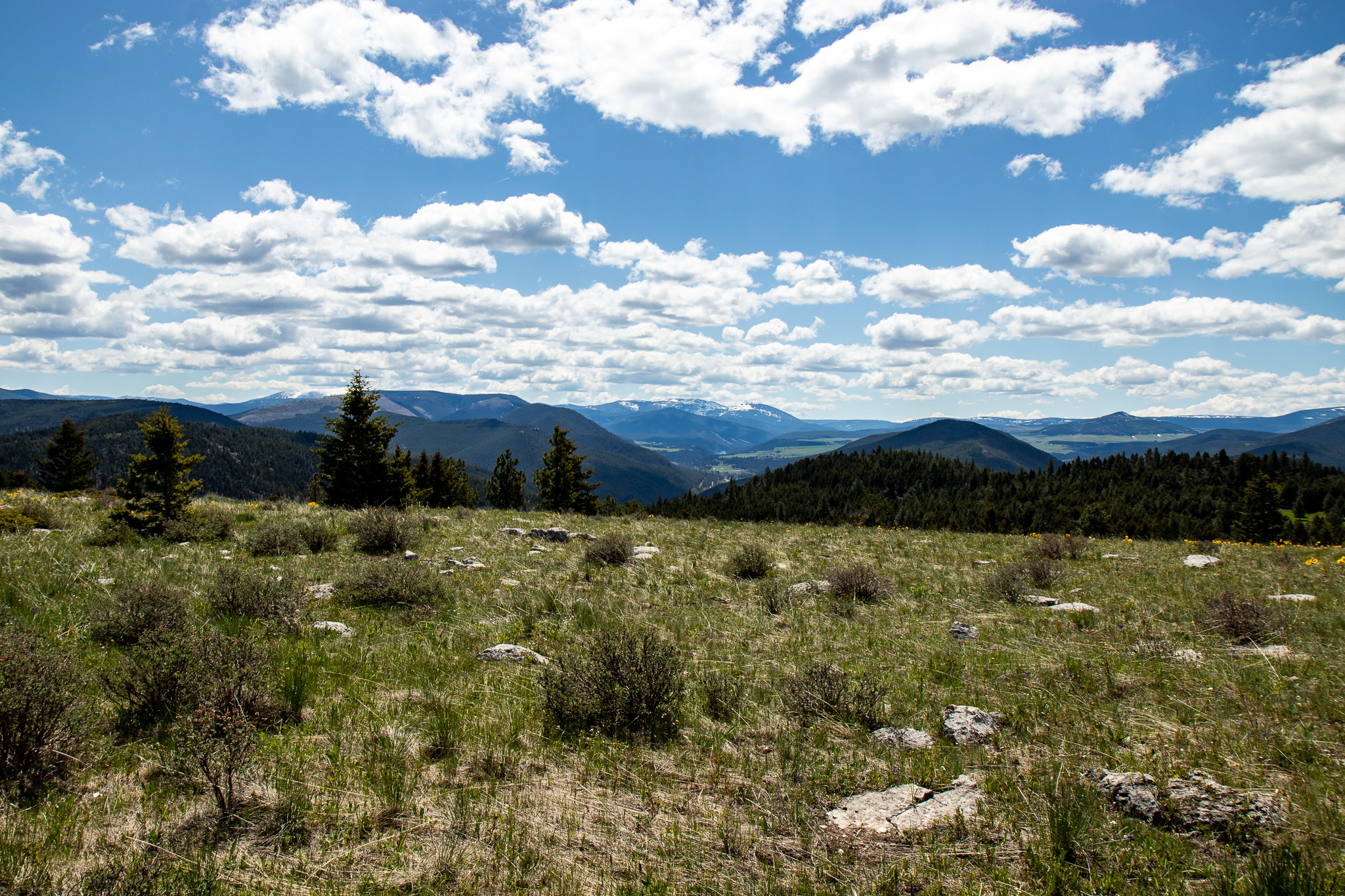 Nhn Big Horn Lane Property Photo 19