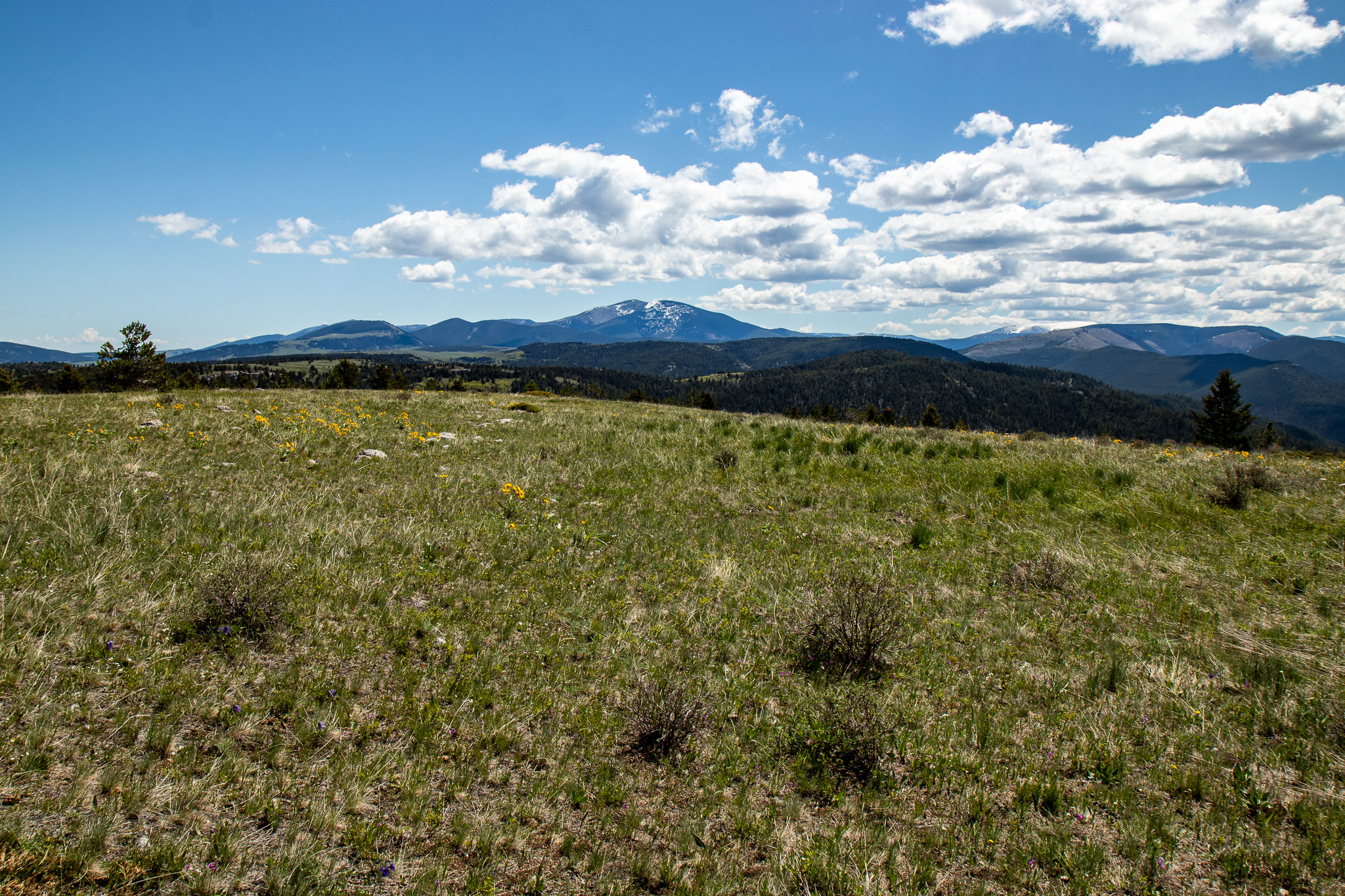 Nhn Big Horn Lane Property Photo 20