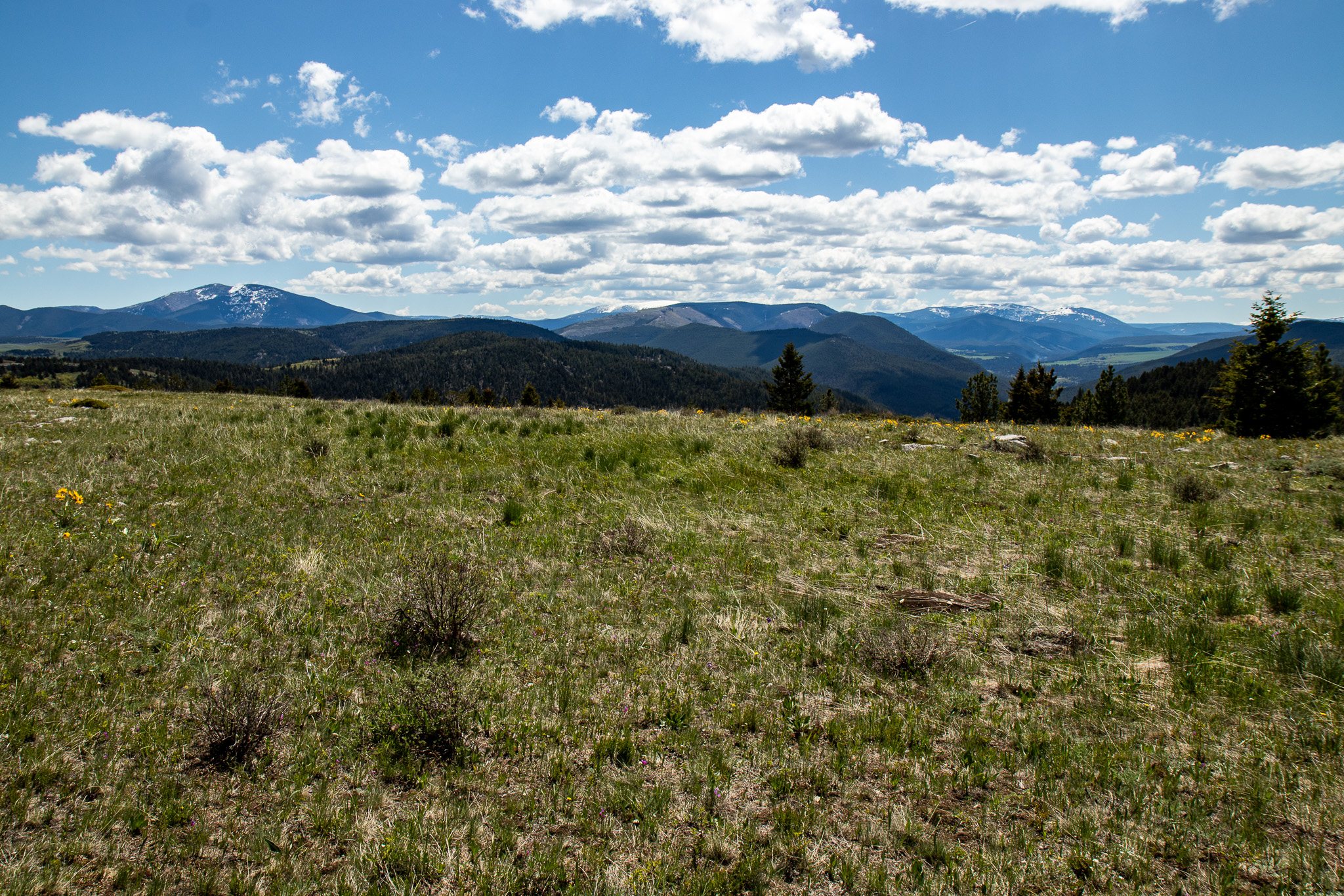 Nhn Big Horn Lane Property Photo 21