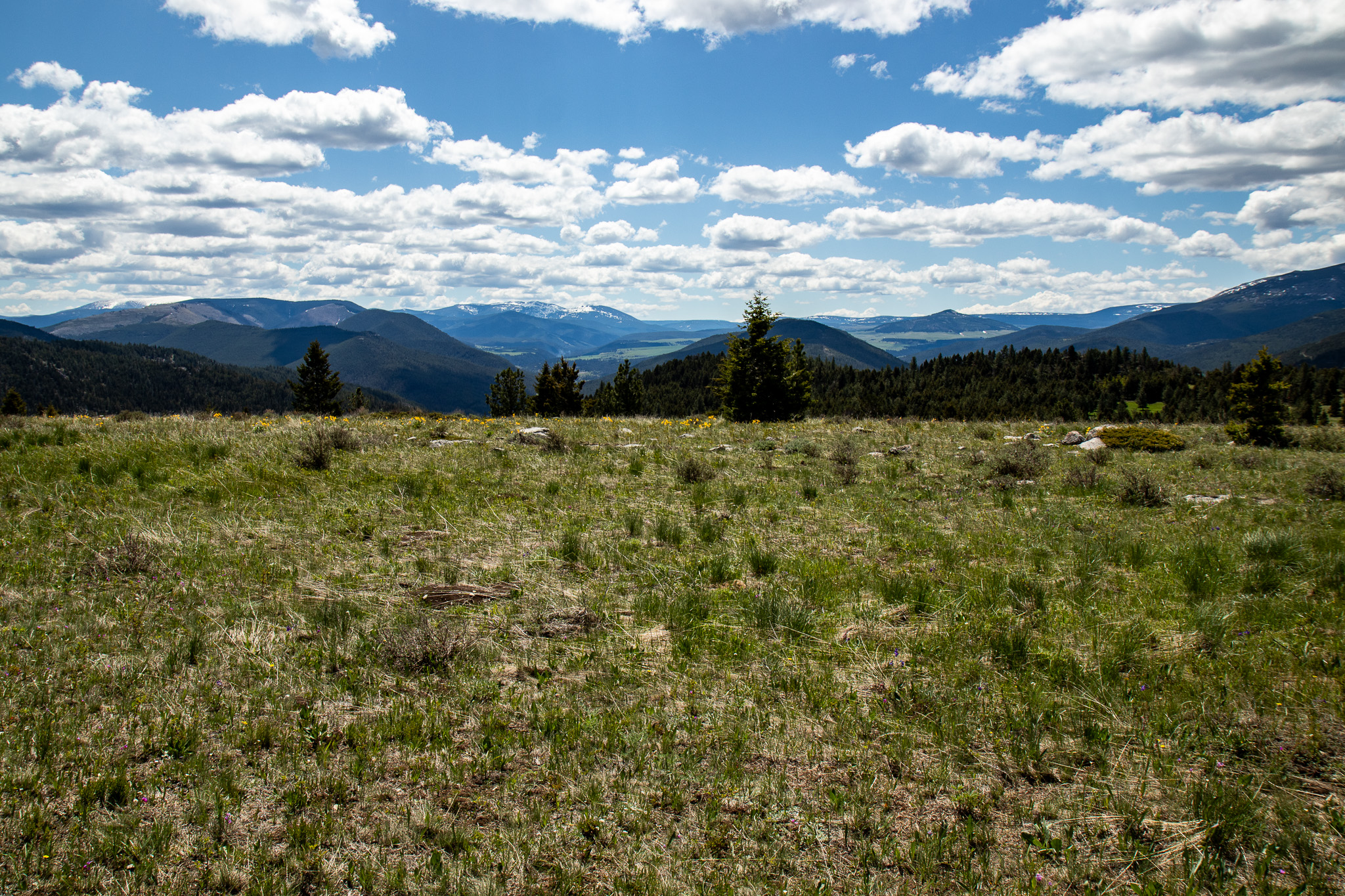 Nhn Big Horn Lane Property Photo 22