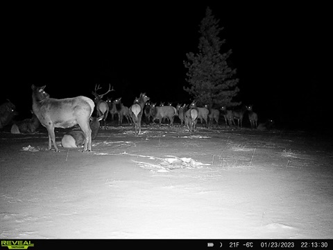 Nhn Big Horn Lane Property Photo 33