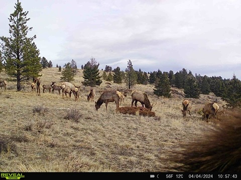 Nhn Big Horn Lane Property Photo 34