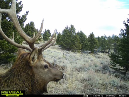 Nhn Big Horn Lane Property Photo 35