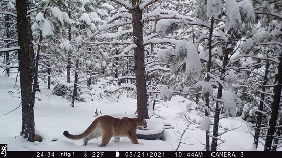 Nhn Big Horn Lane Property Photo 37