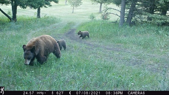 Nhn Big Horn Lane Property Photo 38