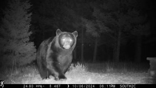 Nhn Big Horn Lane Property Photo 39