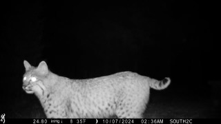 Nhn Big Horn Lane Property Photo 40